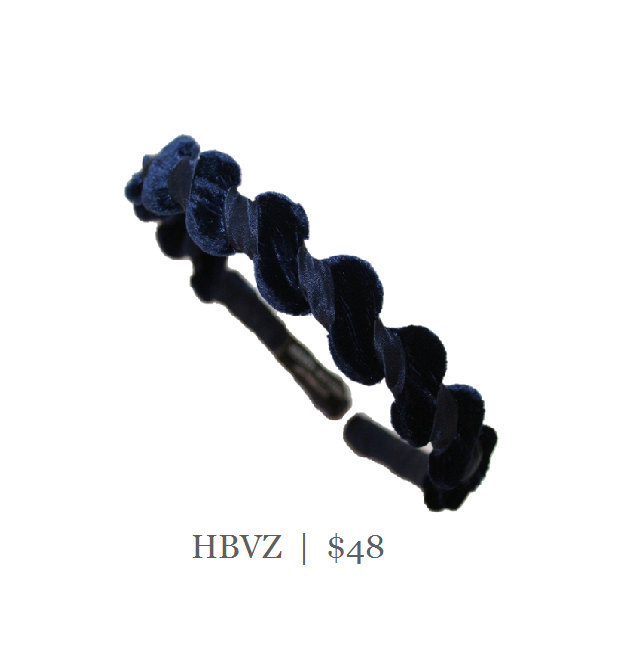 HBVZ_NAVY.png