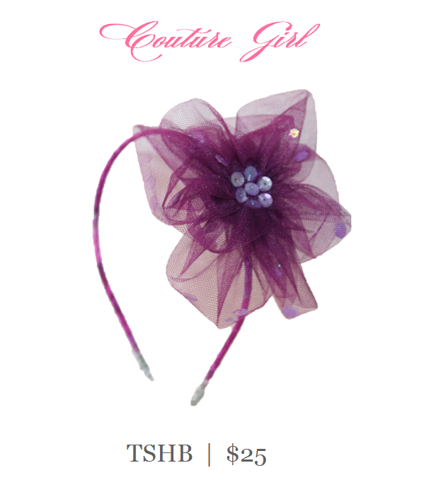 CG_CSHB_PURPLE.png