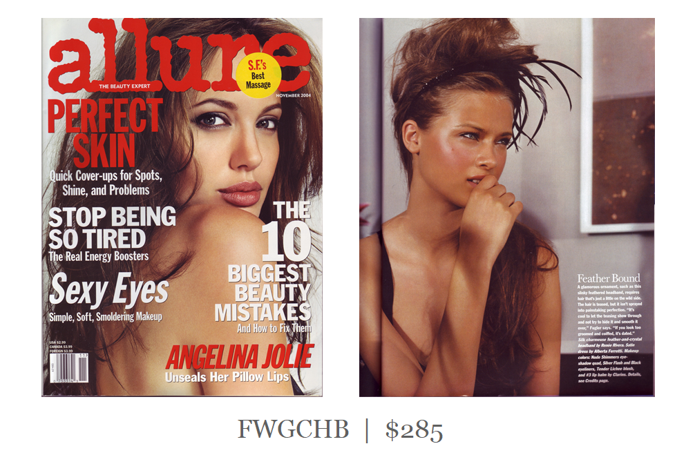 ASI_cover_inset_FWGCHB_285.png