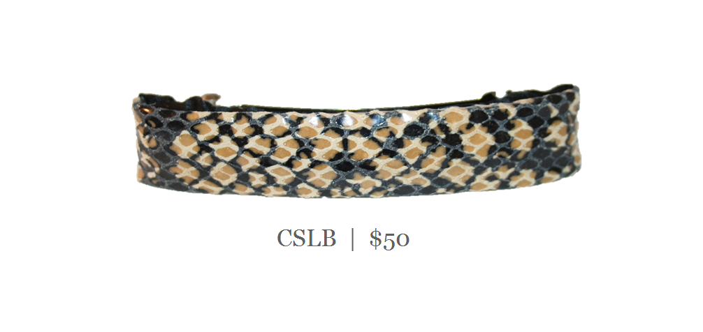 CSLB_50_CHOC_PYTHON.png