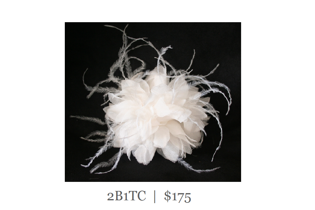 2B1TC_175.jpg