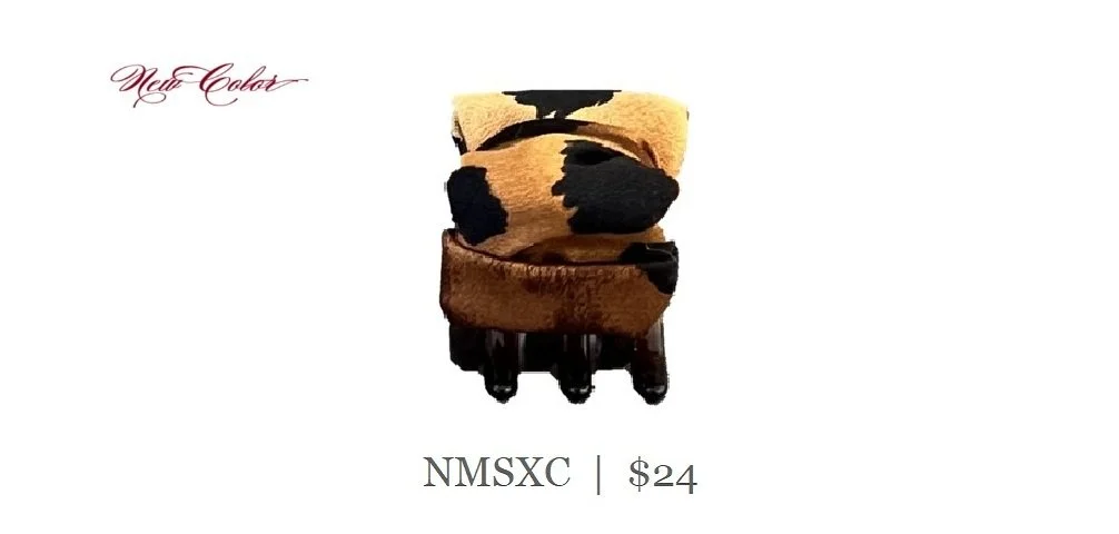 NMXSC_24_CHEETAH.jpg