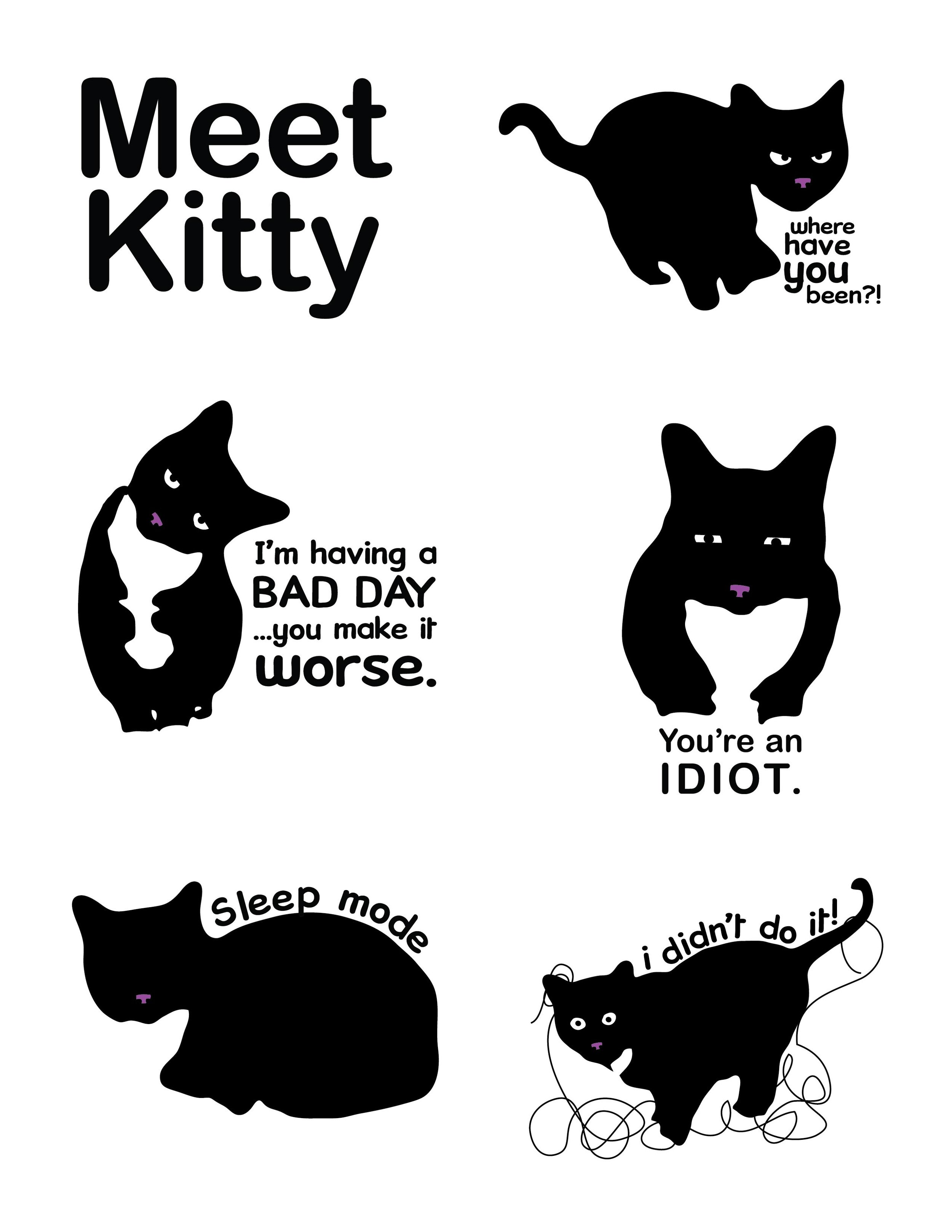 Meet Kitty.jpg