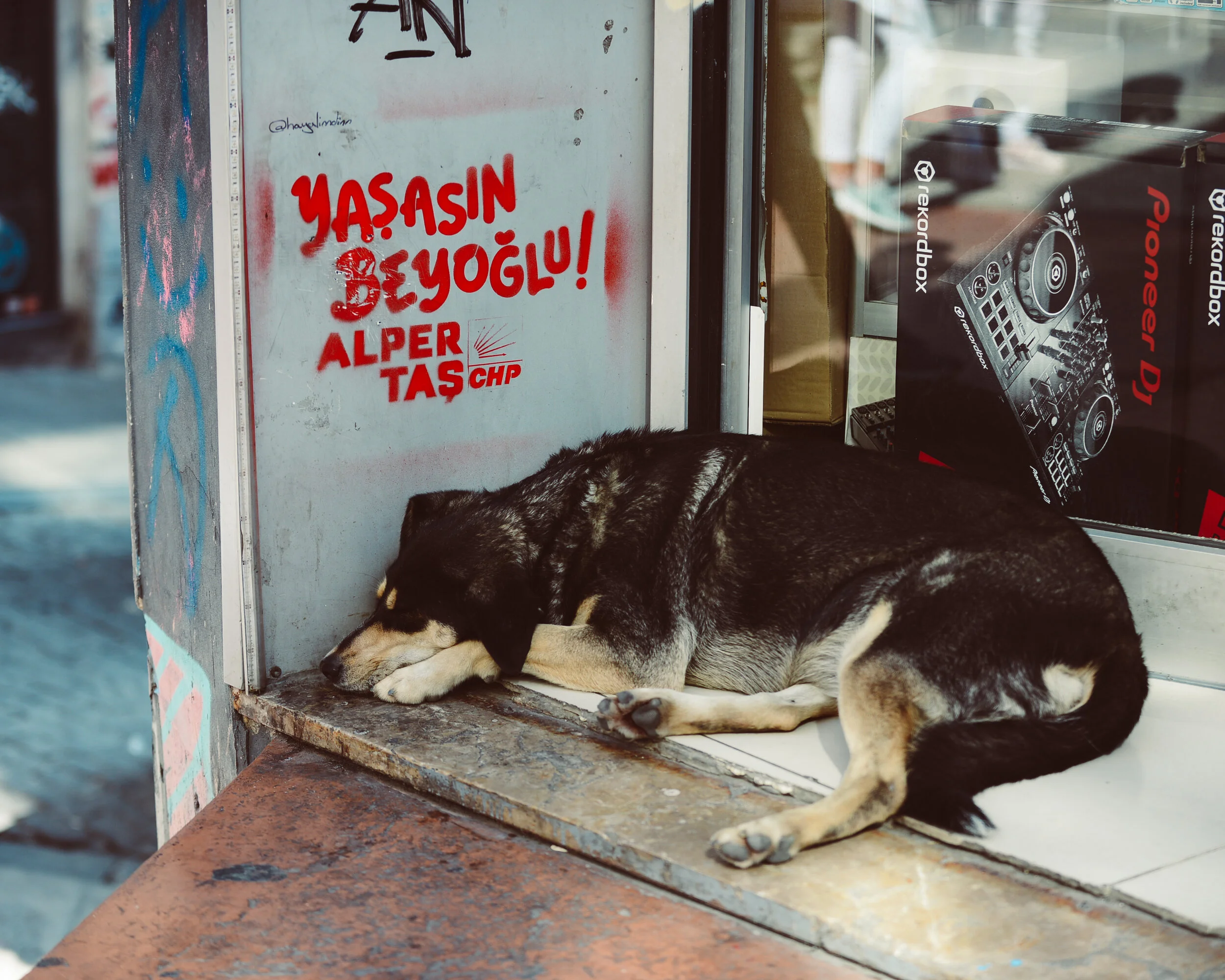 turkey_d800-62_48894741471_o.jpg
