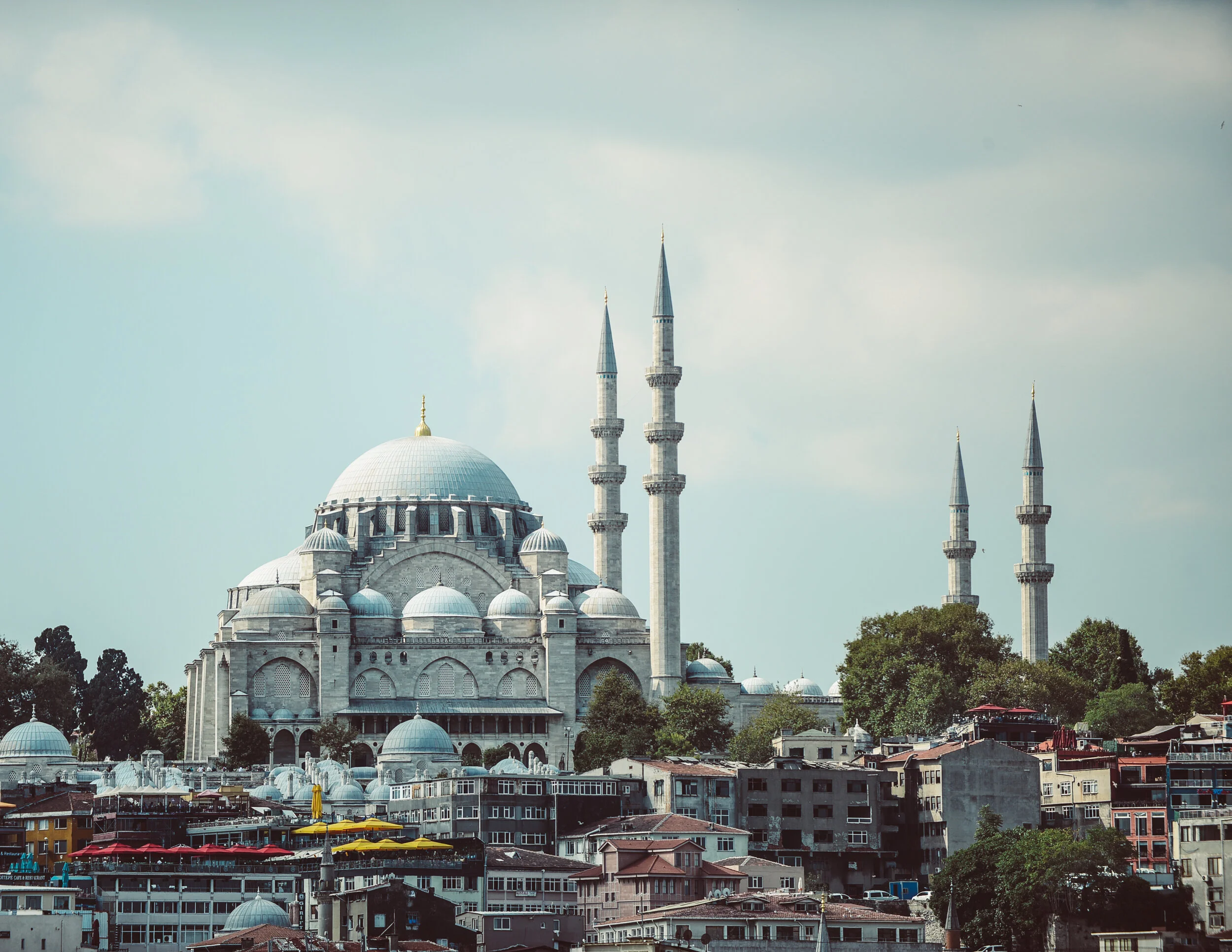 turkey_d800-82_48894199238_o.jpg