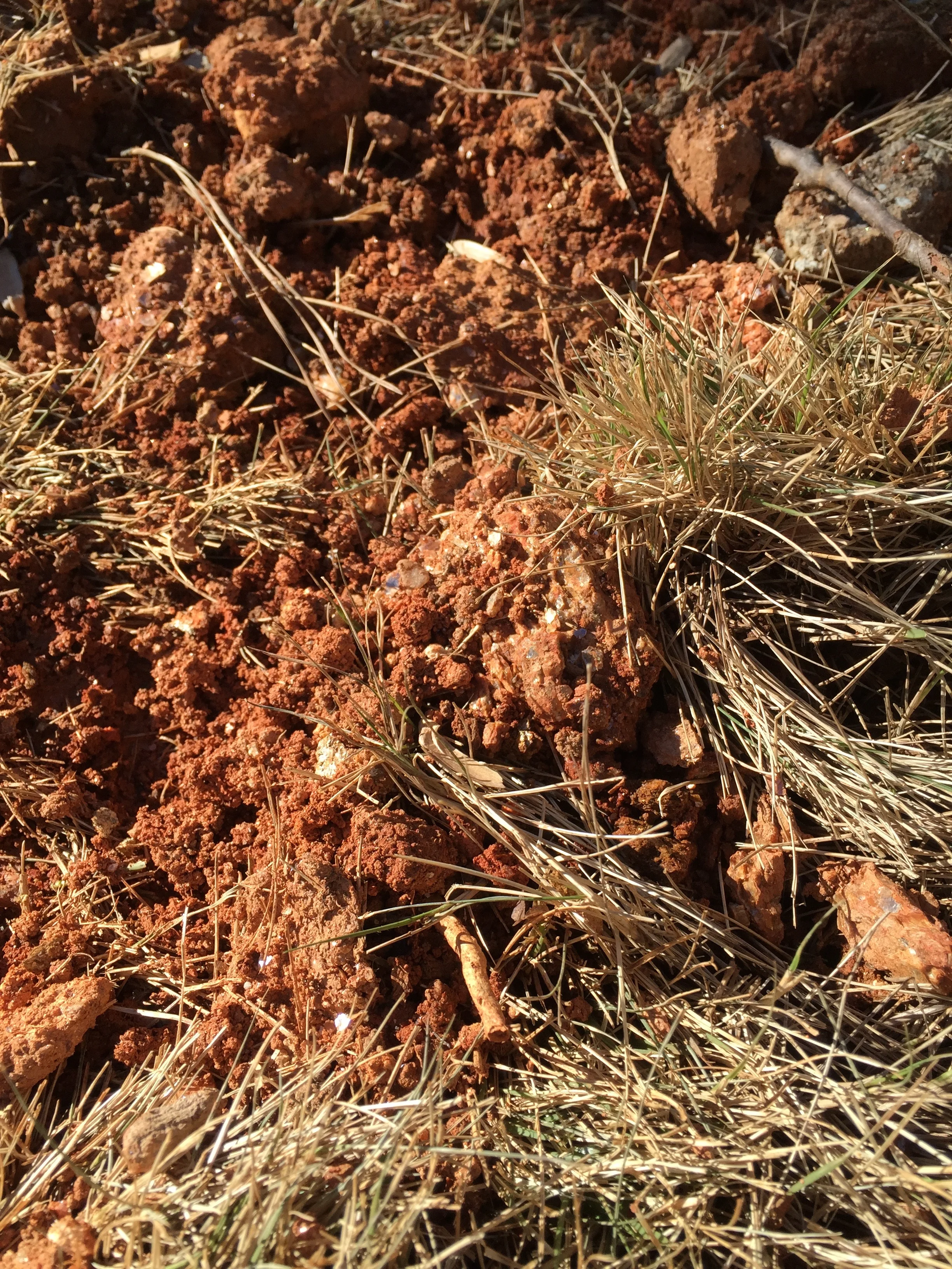 glitter-in-the-mud-mica.jpg