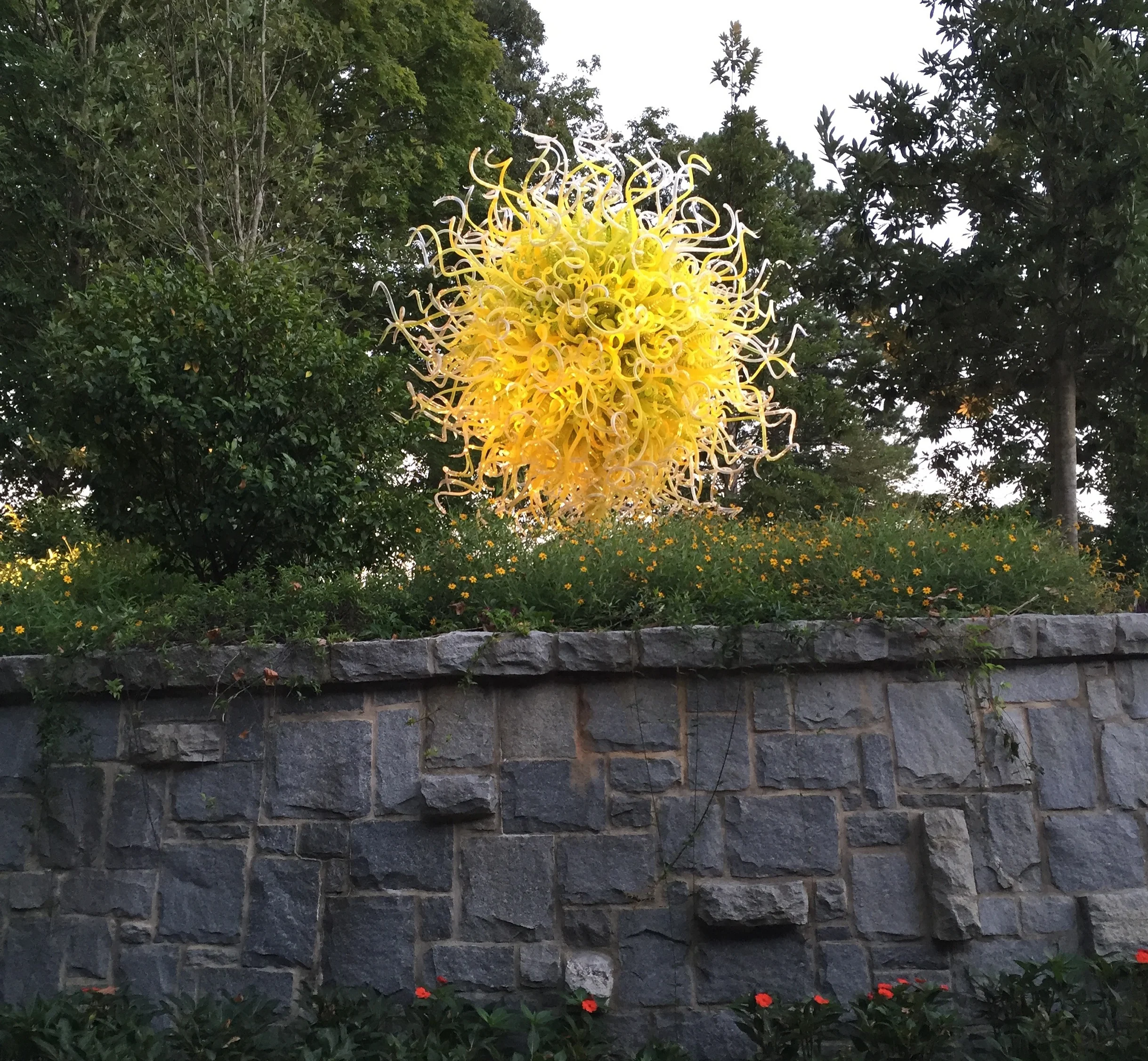 Chihuly's Sol del Citron, 2014