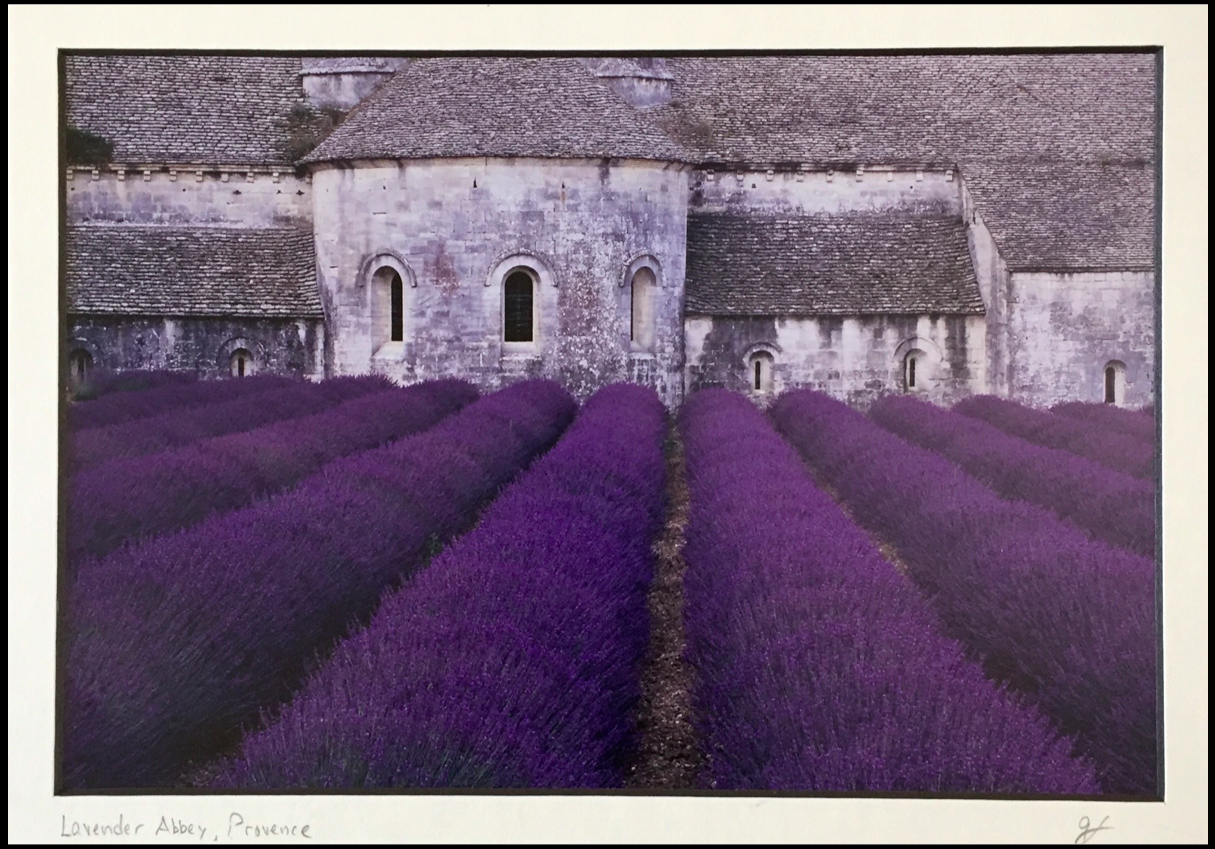 lavender-Senanque-abbey.jpg