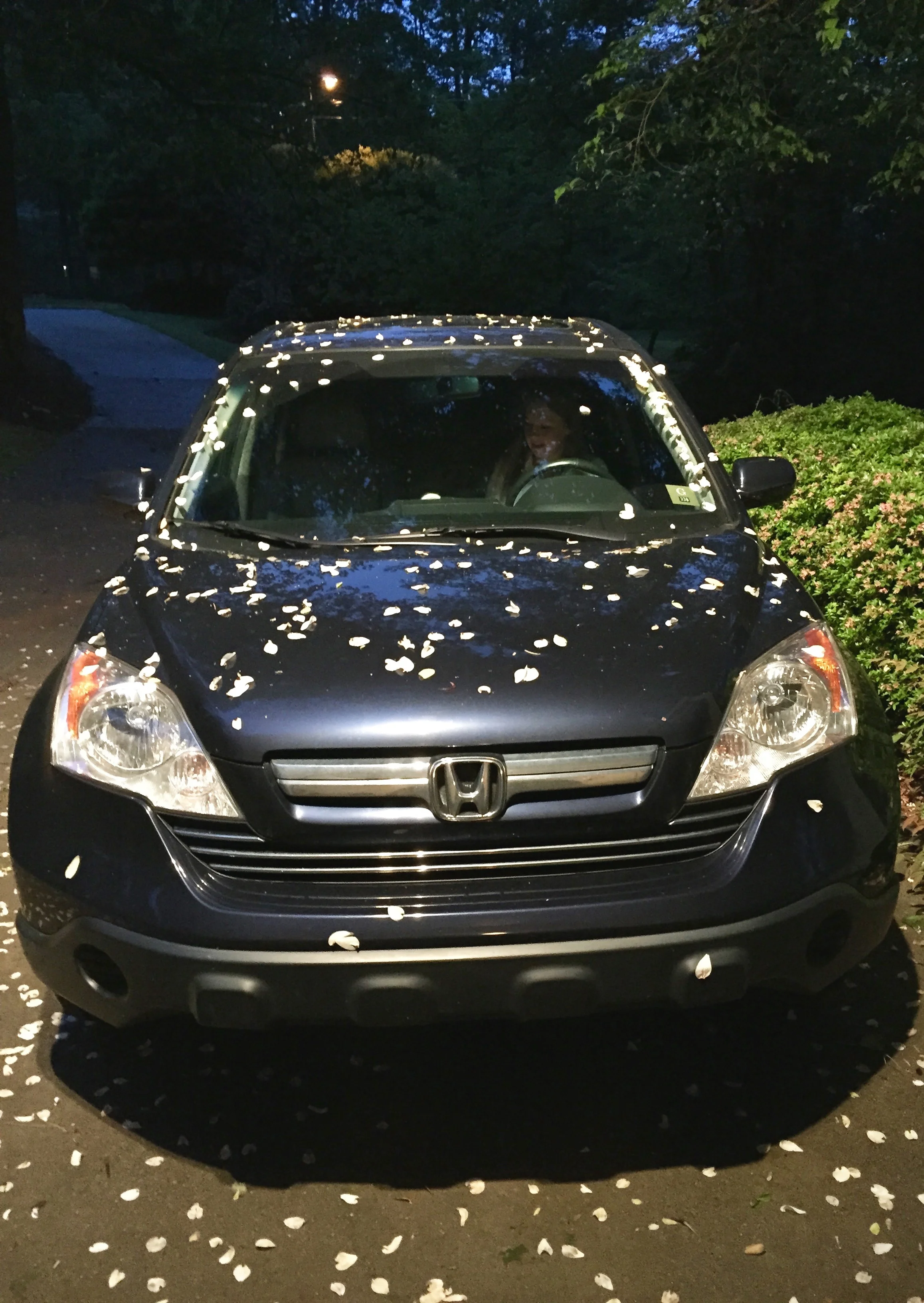 car-covered-flower-petals.jpg