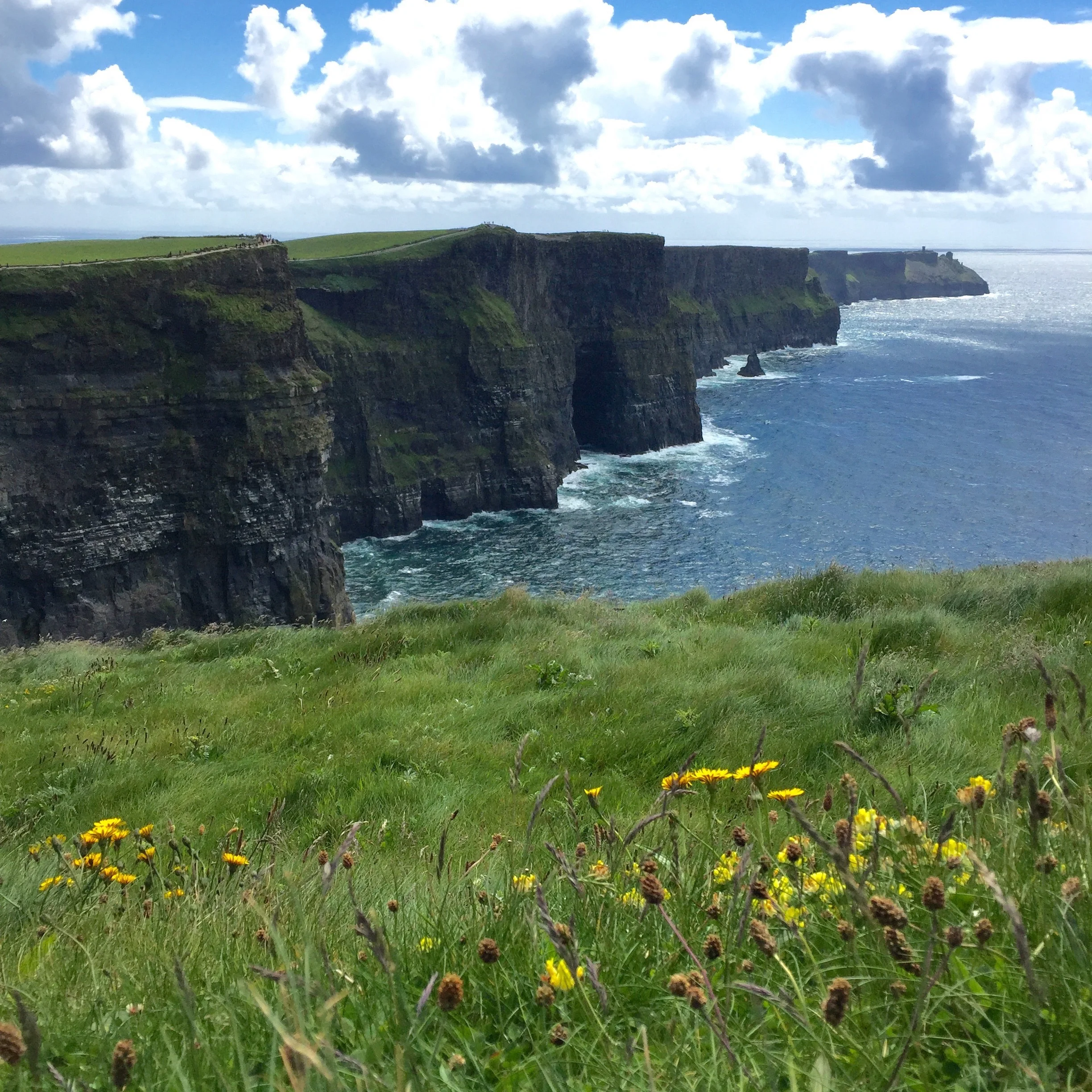 Cliffs of Moher. The left side. 