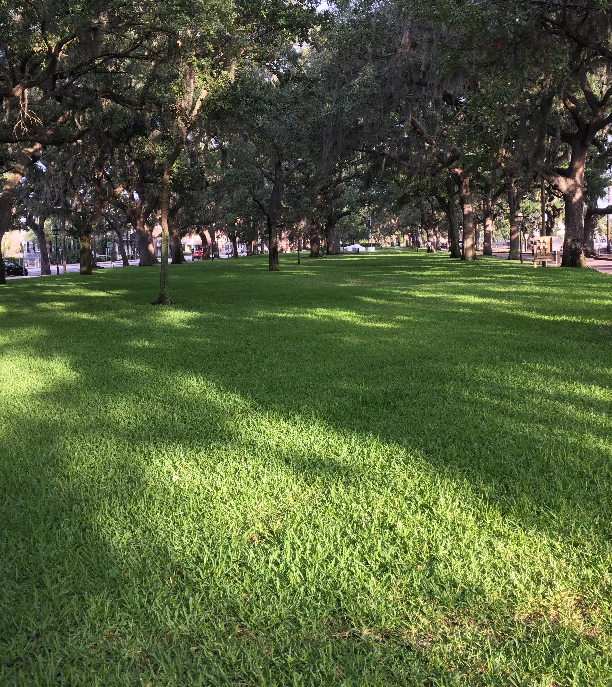 The park between Bay Street and the Savannah River.