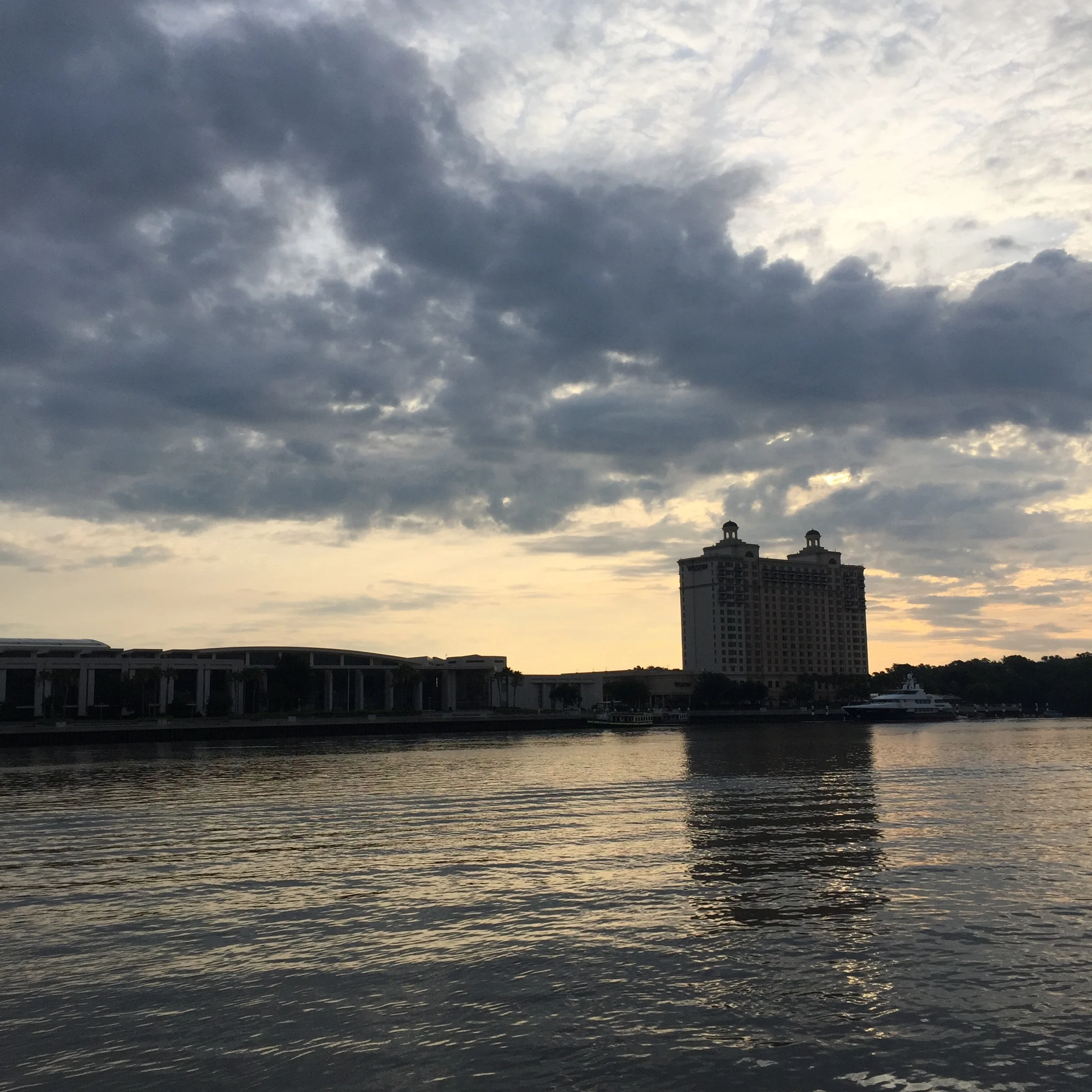 Savannah River, early morning.