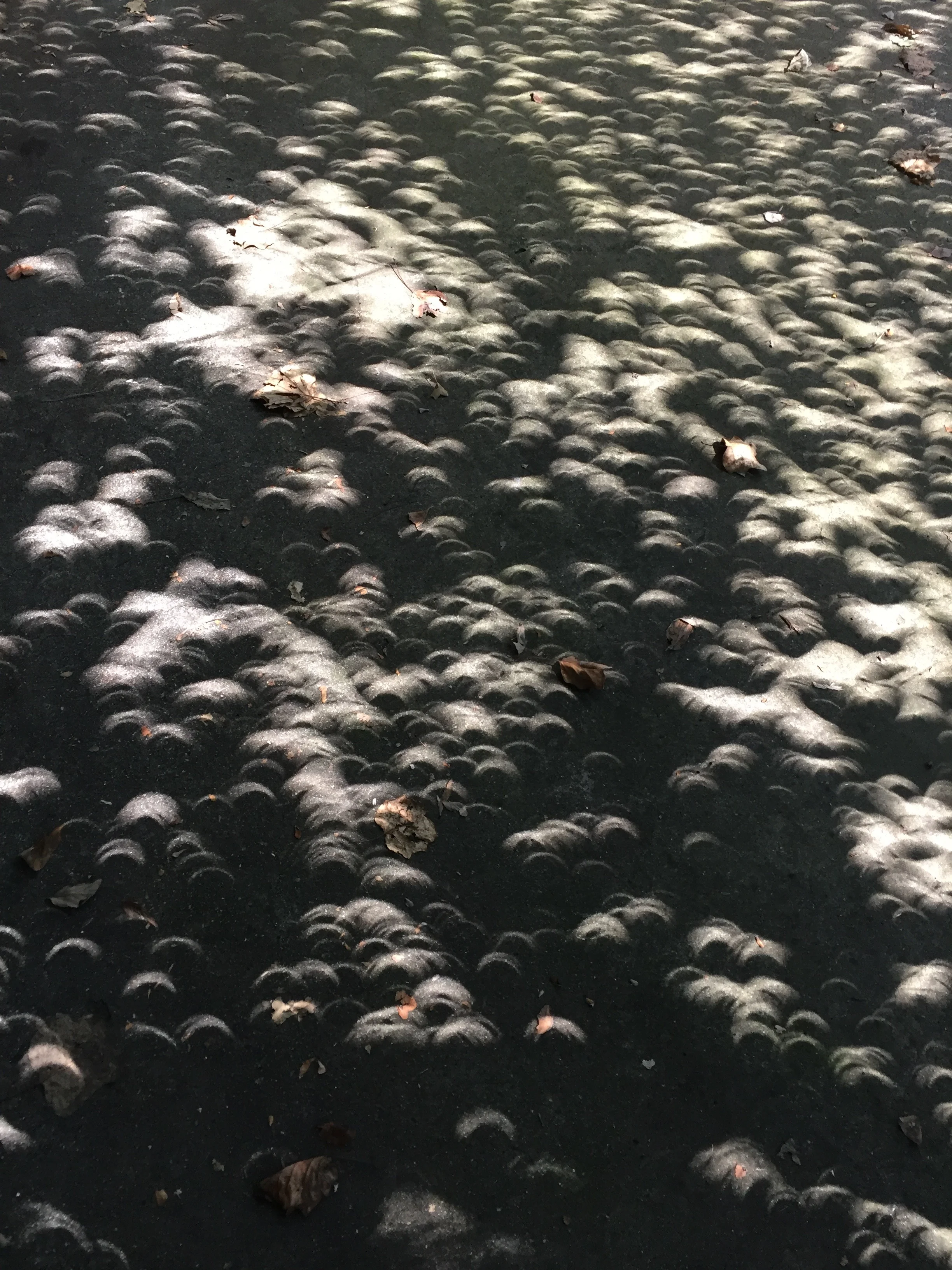 many-moon-shadows-in-semidarkness.jpg