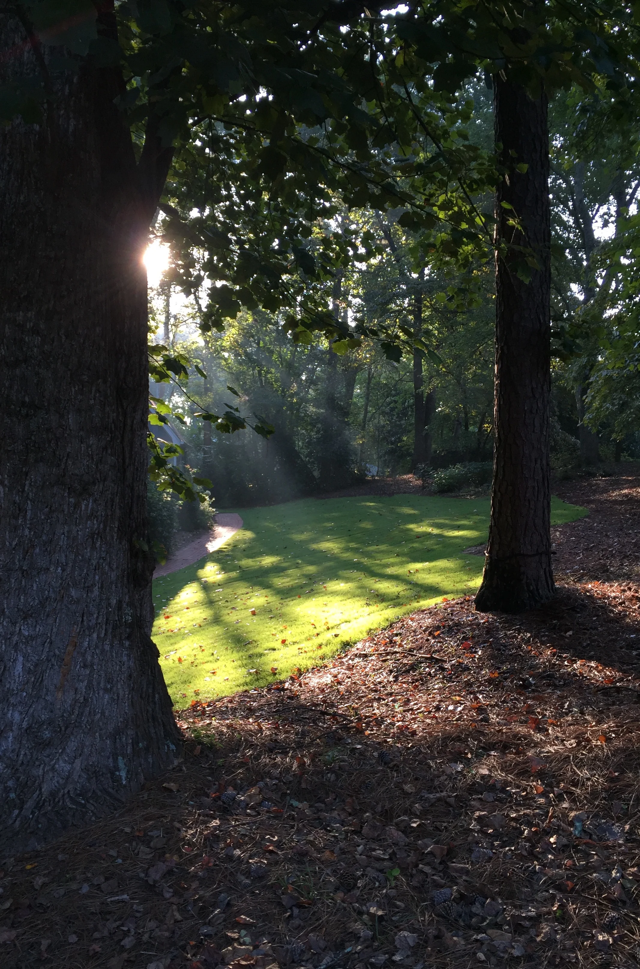 Early morning walk 
