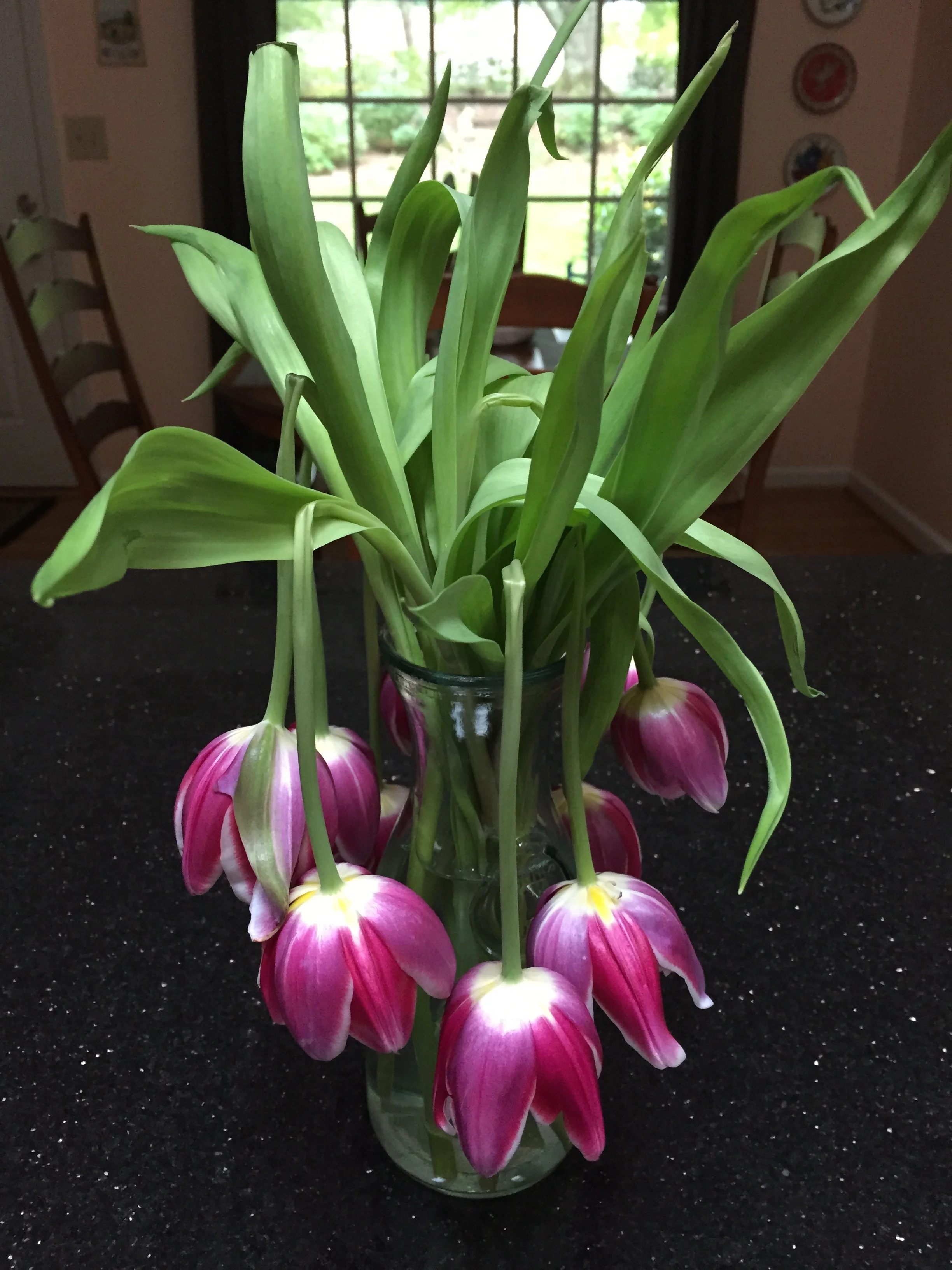 sagging-tulips.jpg