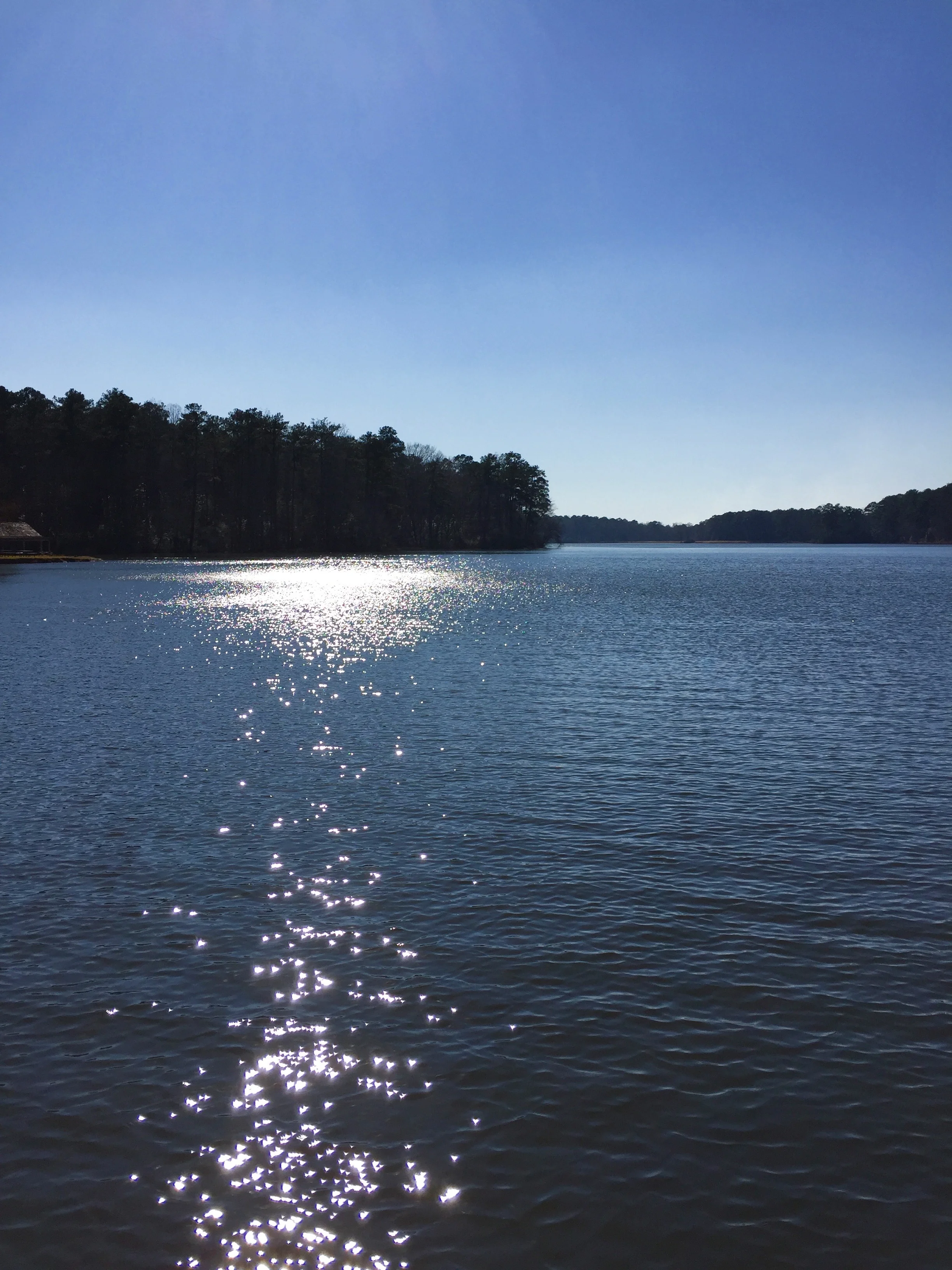 Sunlight on water--I'm always drawn to it. I love how the "drops" of light shimmer.