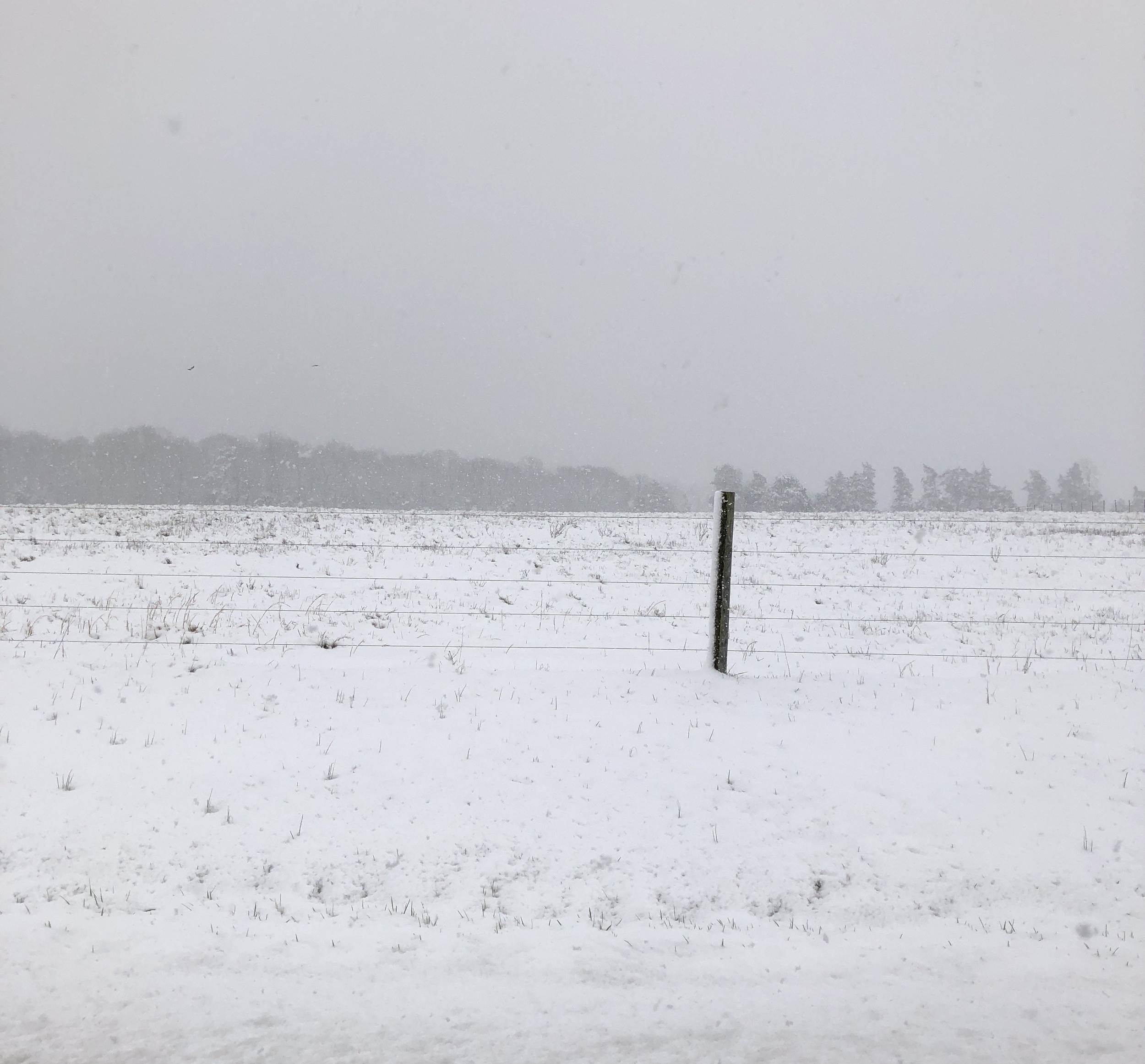 snow-on-field.jpg