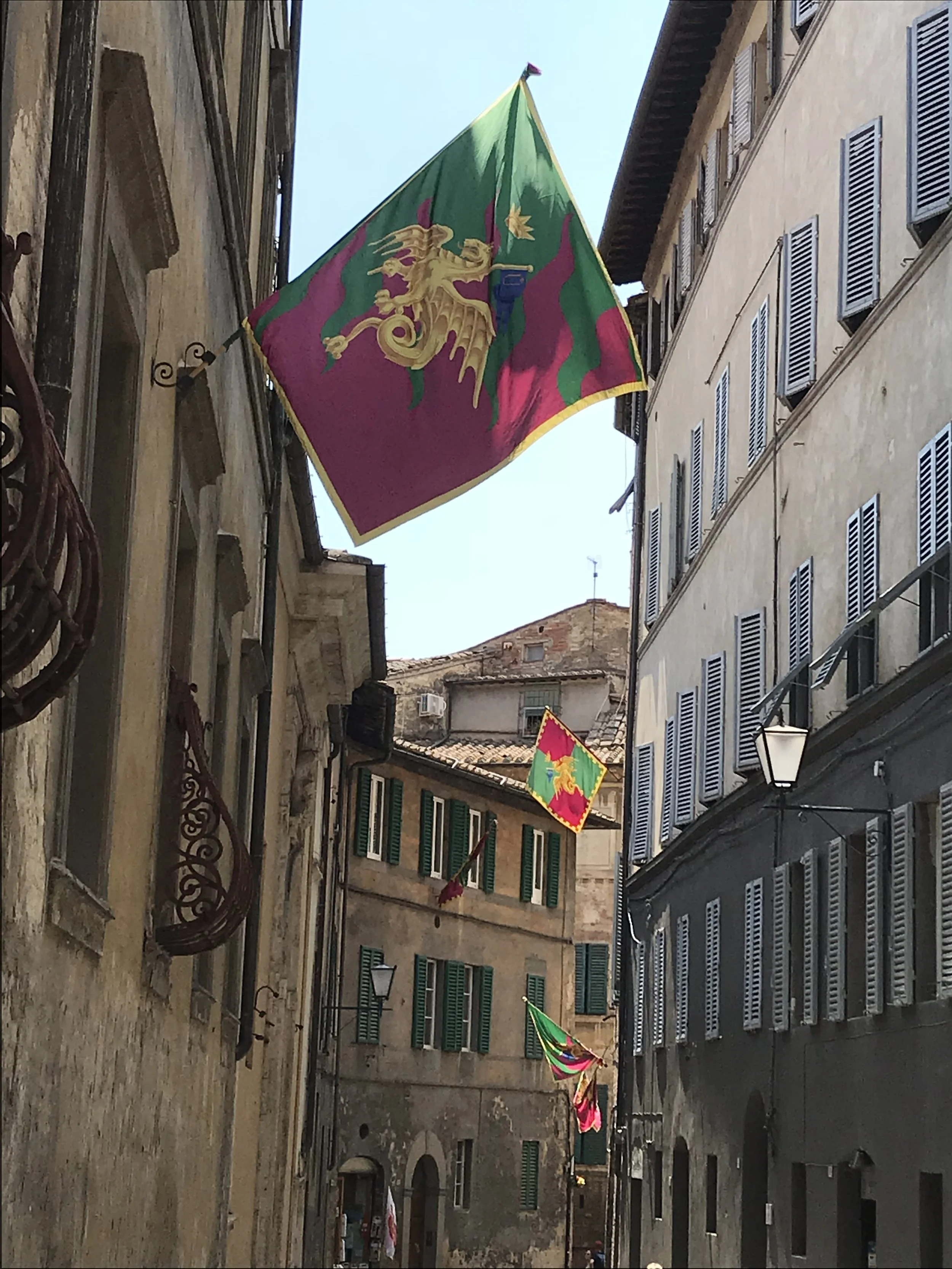 The flag of the neighborhood, Drago (Dragon), that won the famous annual medieval horse race, the Palio di Siena, on July 2, 2018, three days before we arrived. Photo credit: Mart Martin