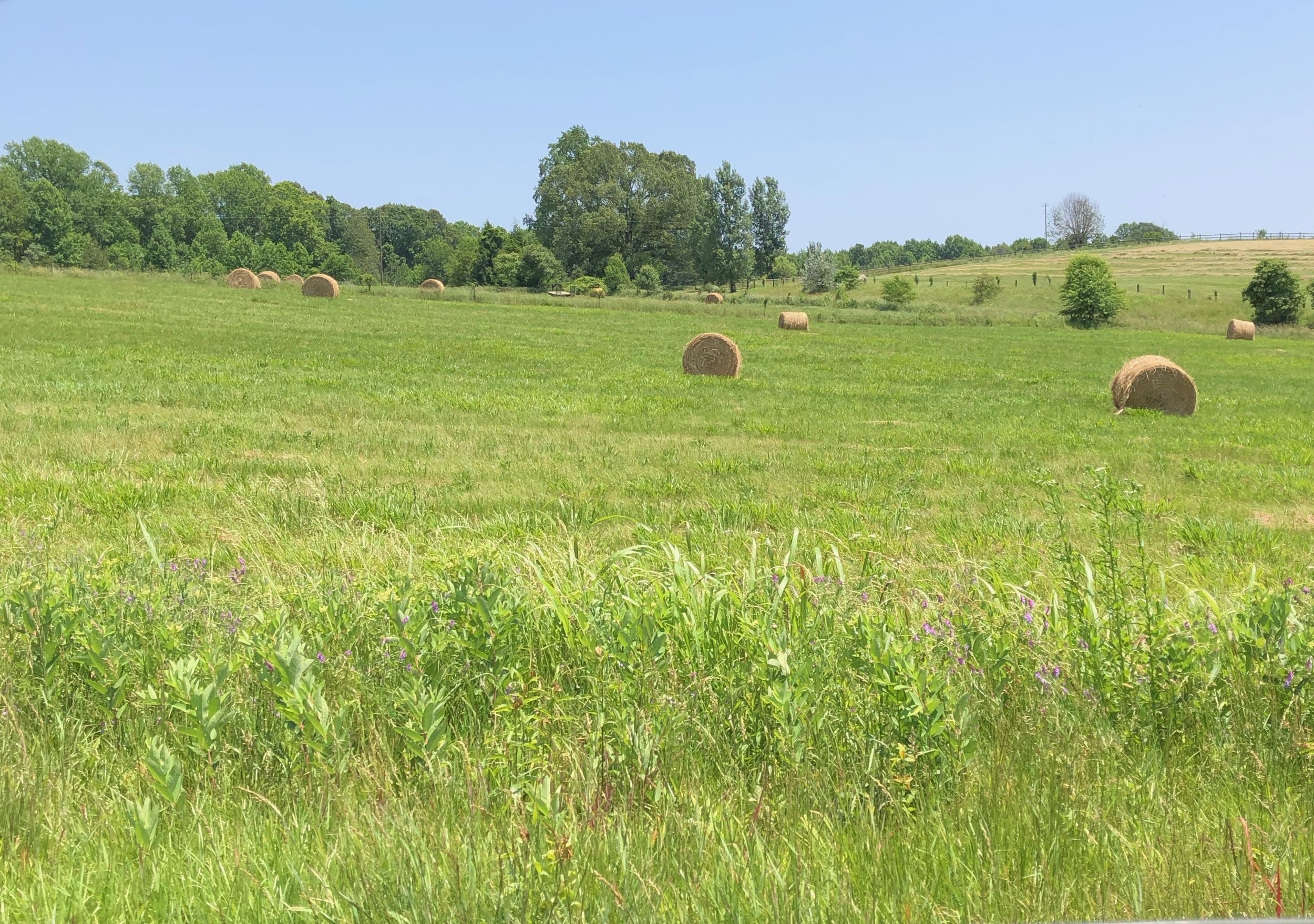 glimsen-farm-hay-1.jpeg