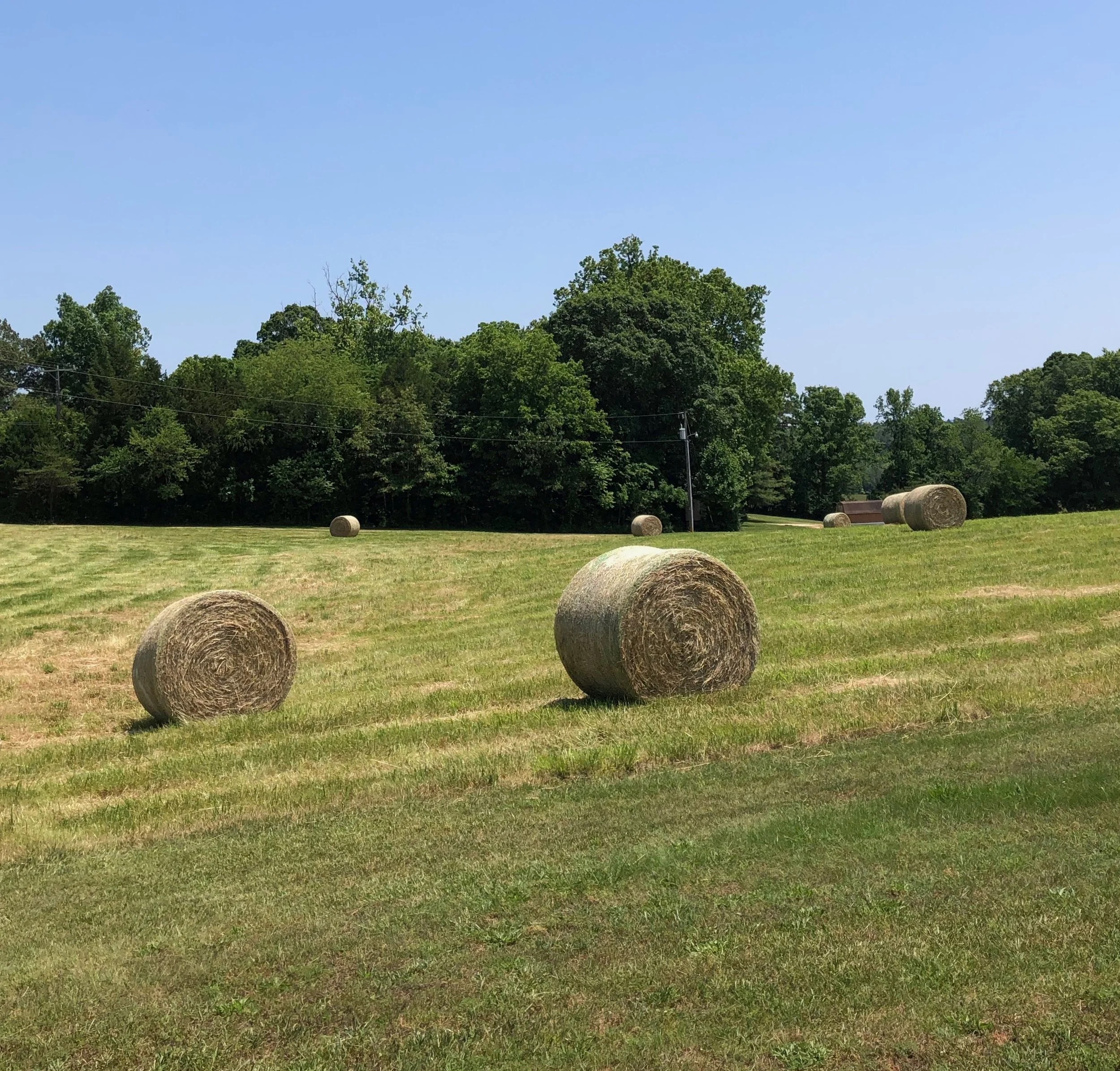Stopping By Farms on a Sunny Day