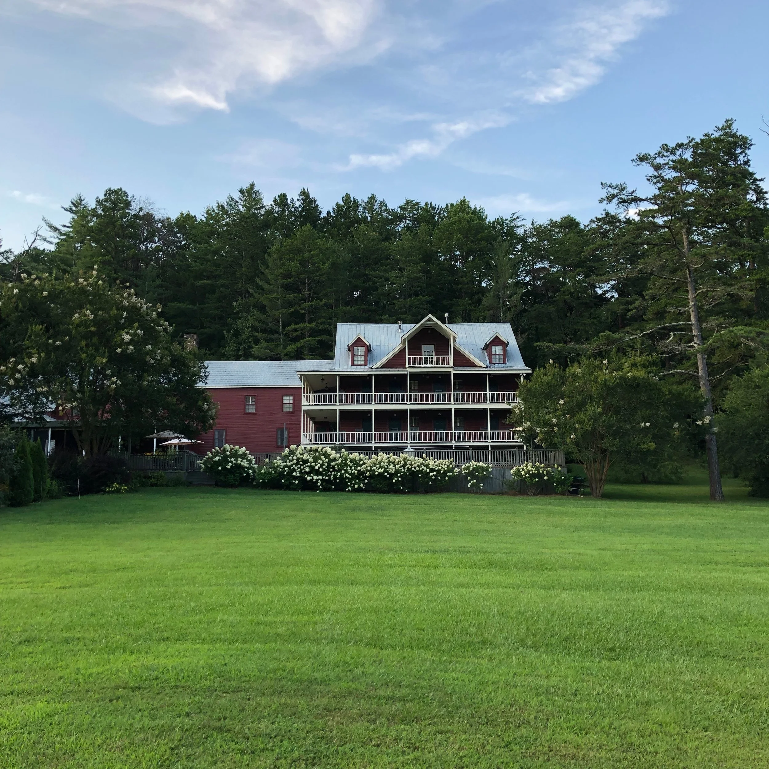Our room was on the second floor, overlooking the pool, a profusion of white hydrangea blossoms, and this grassy meadow.