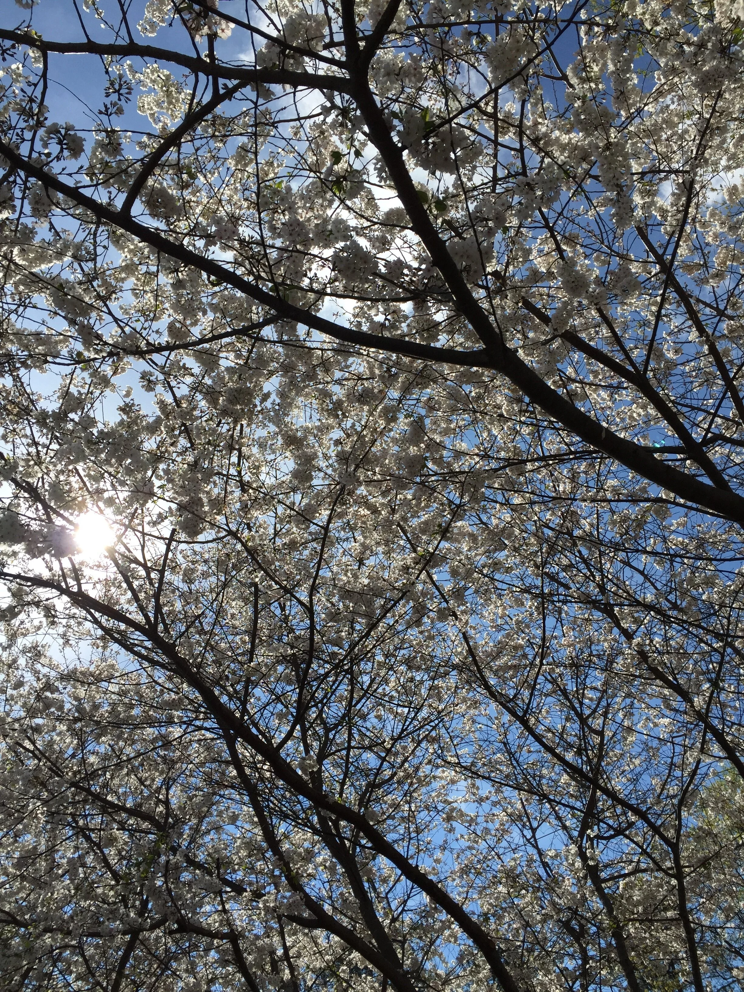 A New Season, and Just in Time