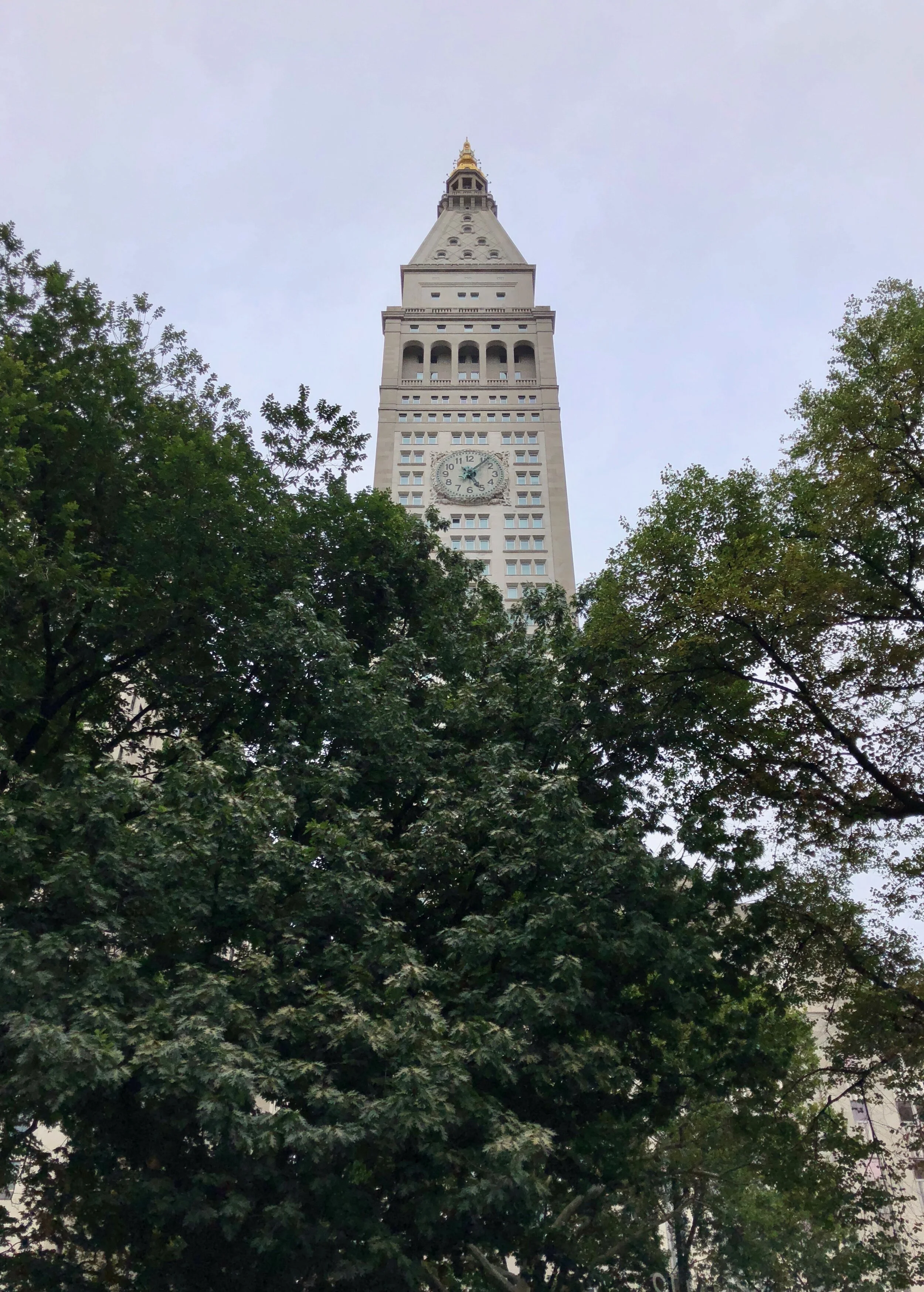 A Moment in the Museum