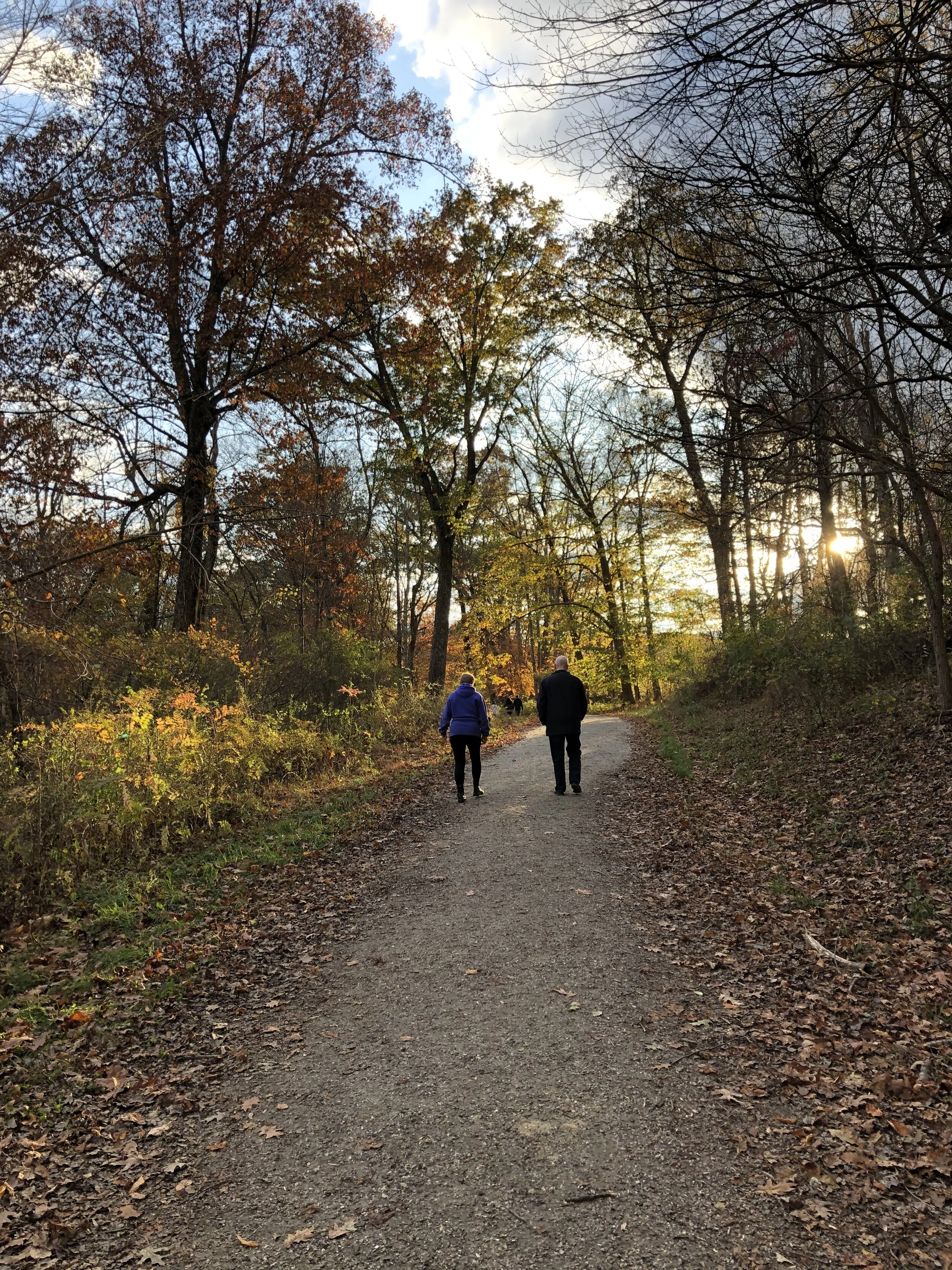 Sunday in the Park with Friends