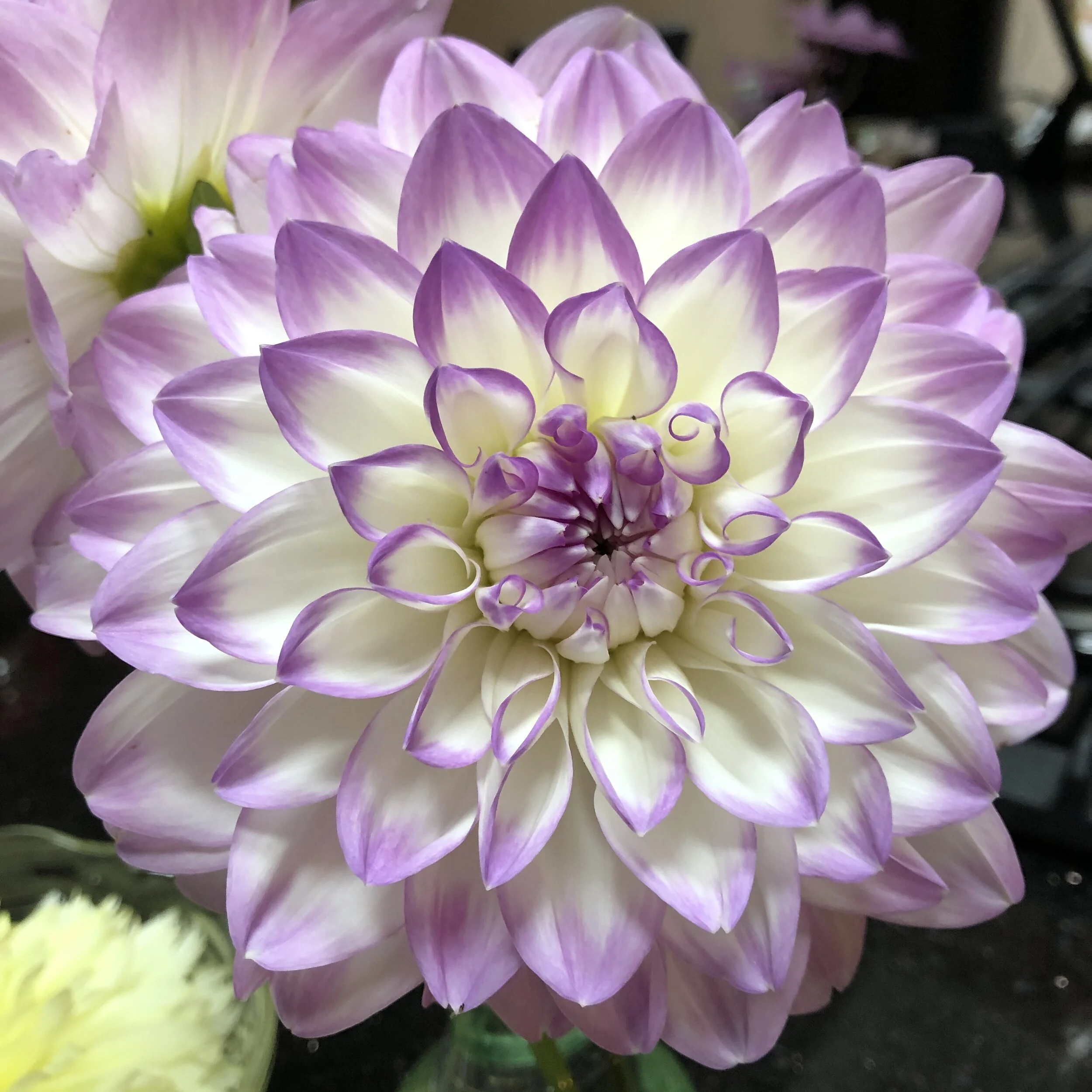 The Beauty of Generosity