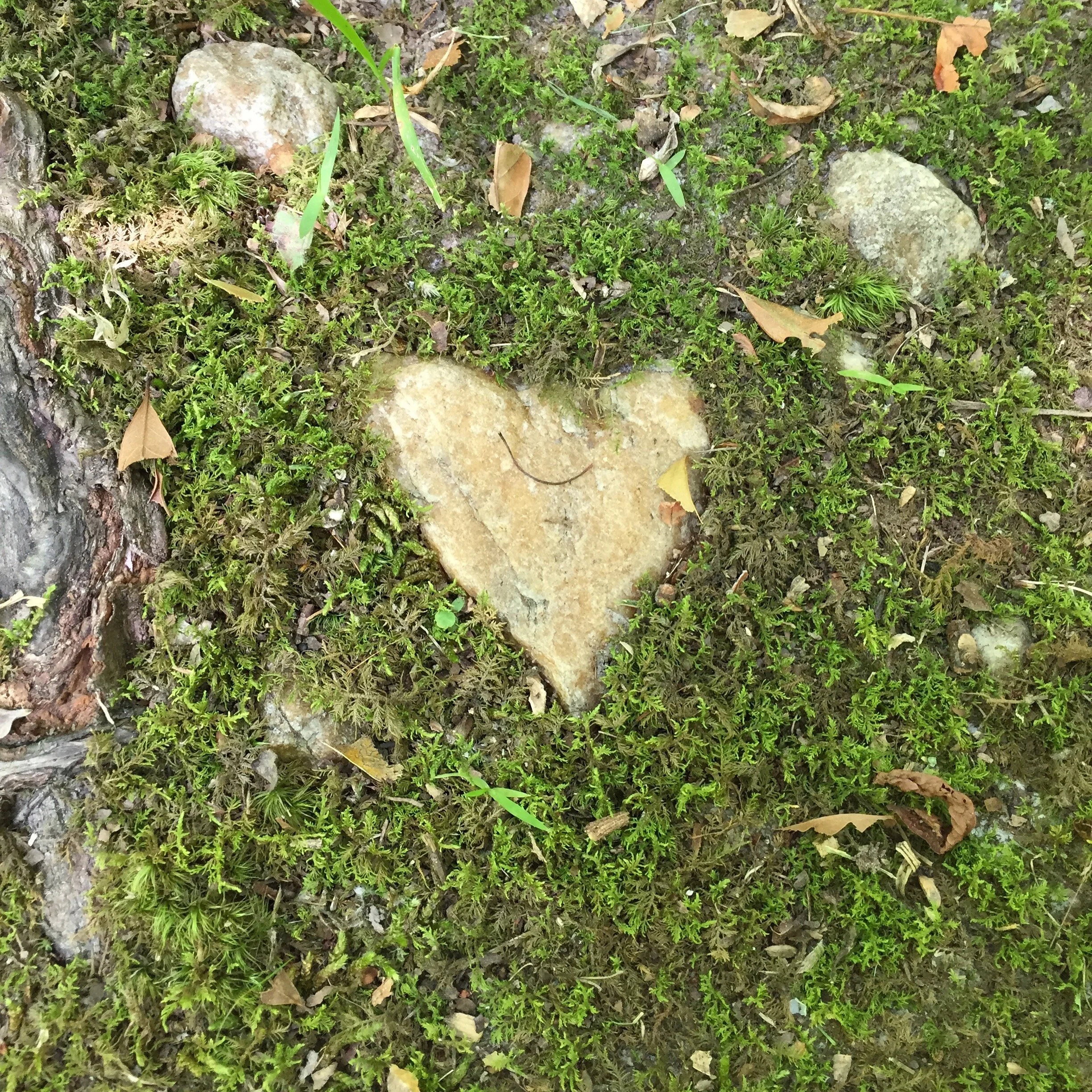 A Heart of Courage