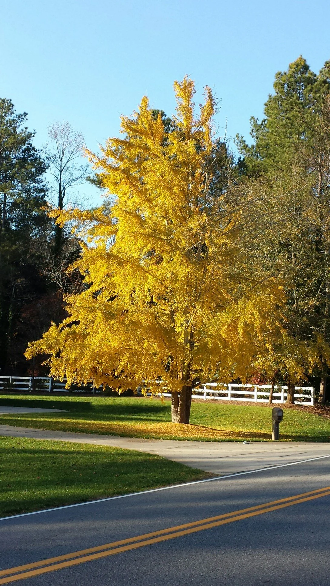 Reader Photos: Glimpses of Early Fall