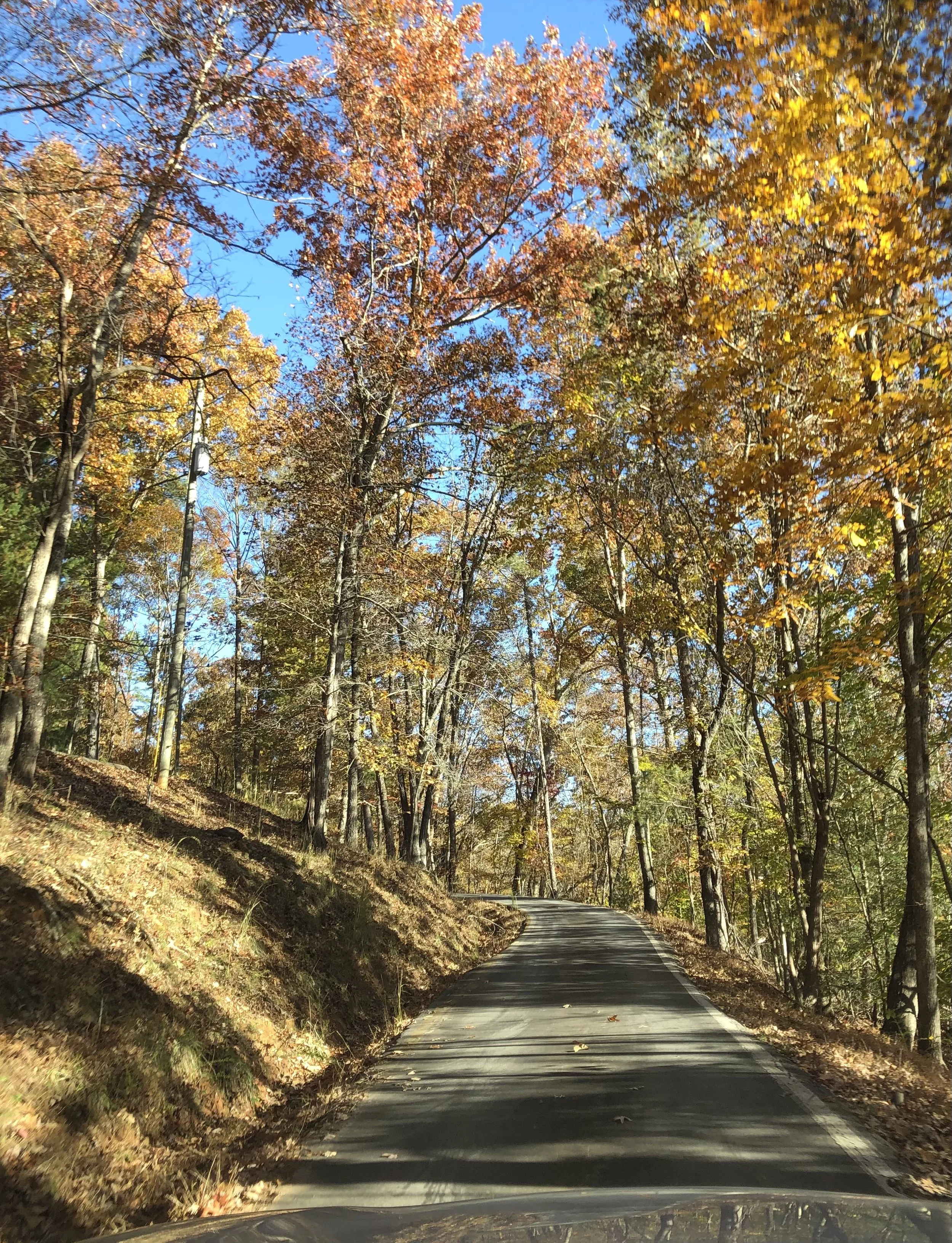 The Mountains are Calling