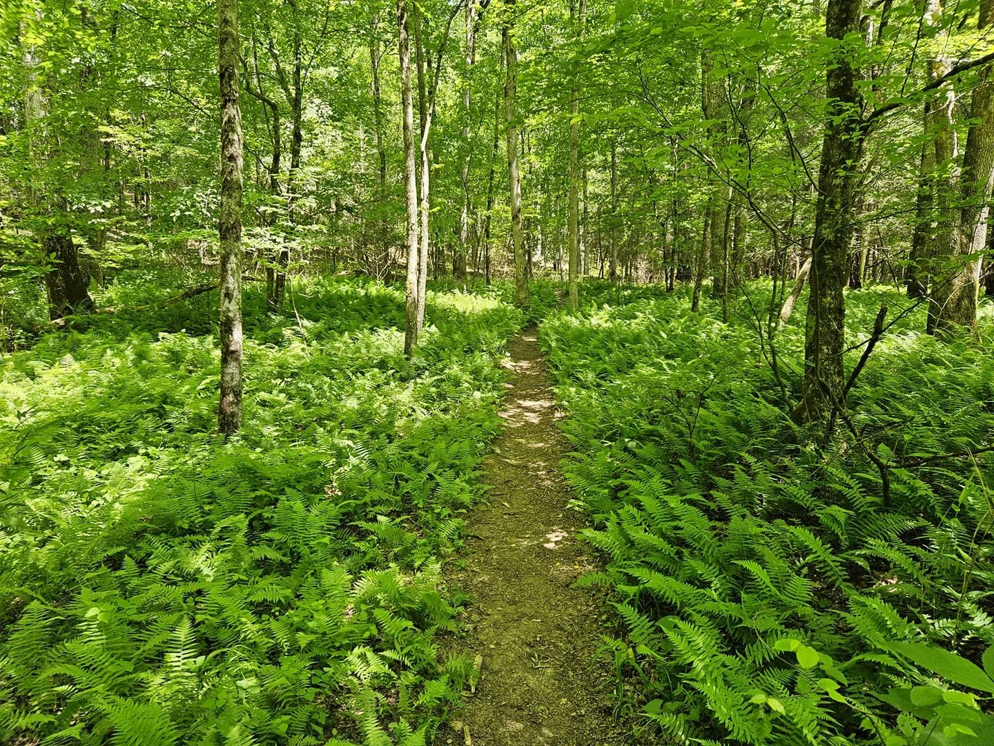 Reader Photos of Summer Beauty