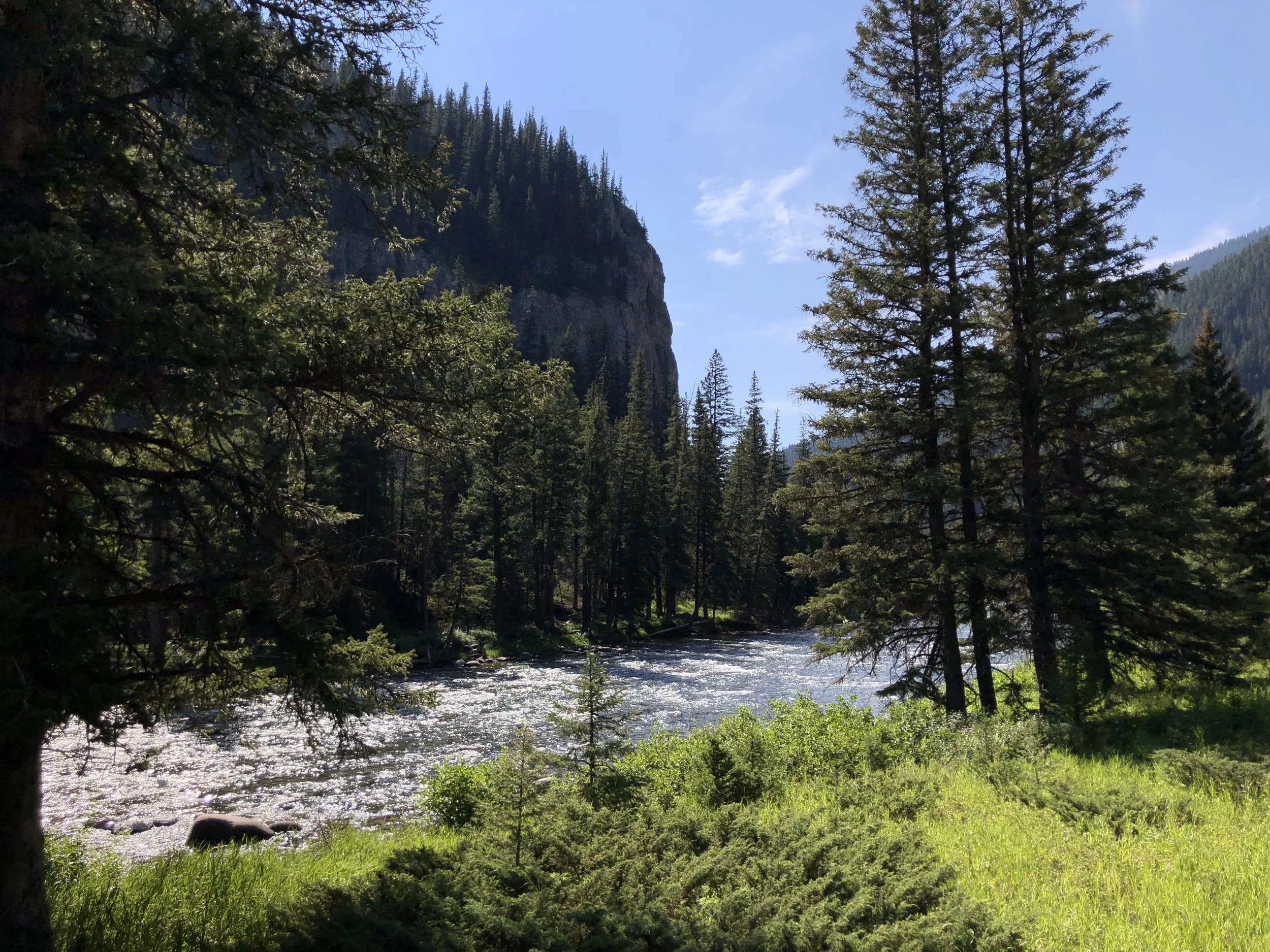 Montana, Yellowstone, and a Strange Beauty