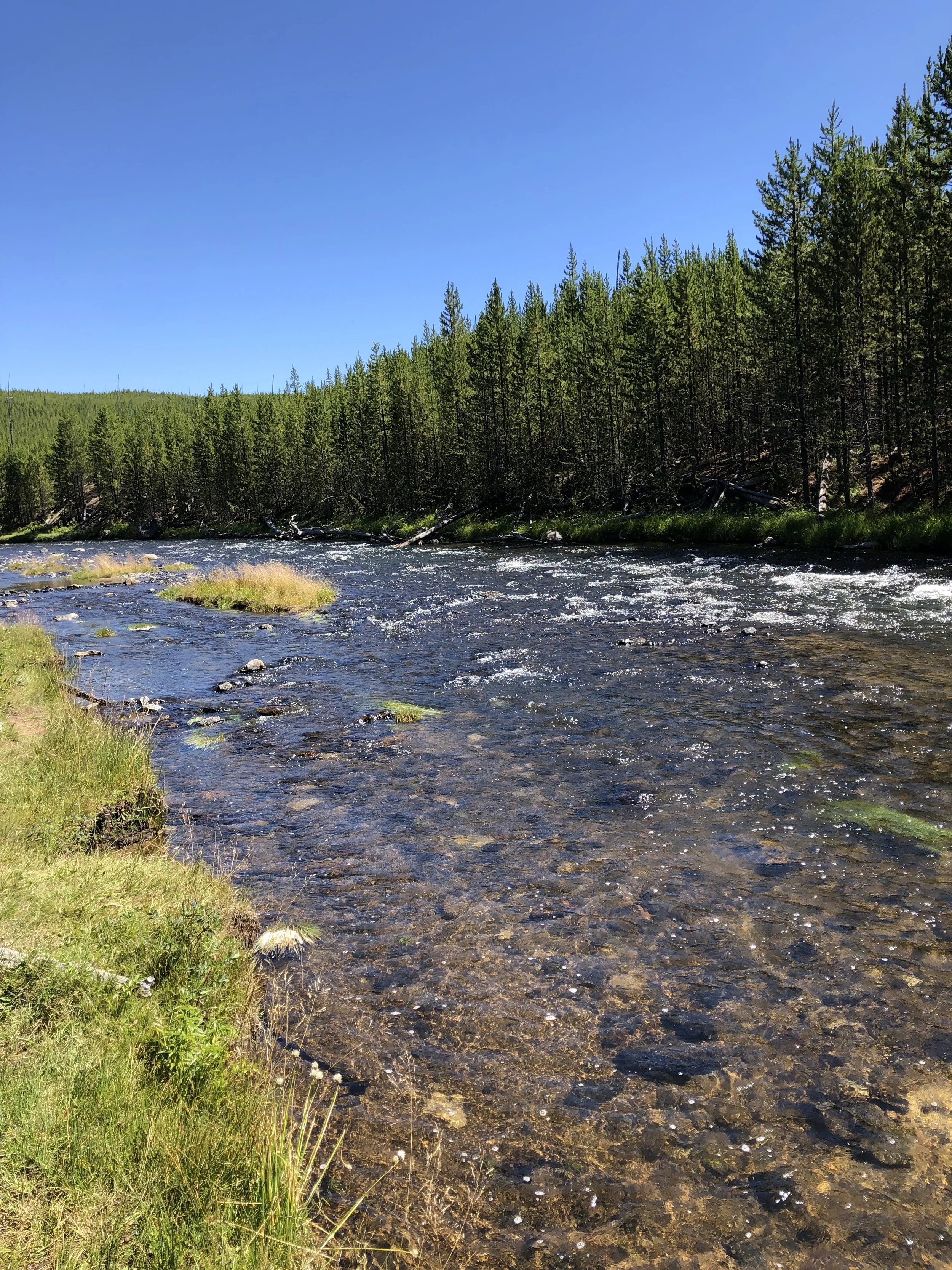Gibbon Falls, Artists' Paintpot, and a Picnic by the River