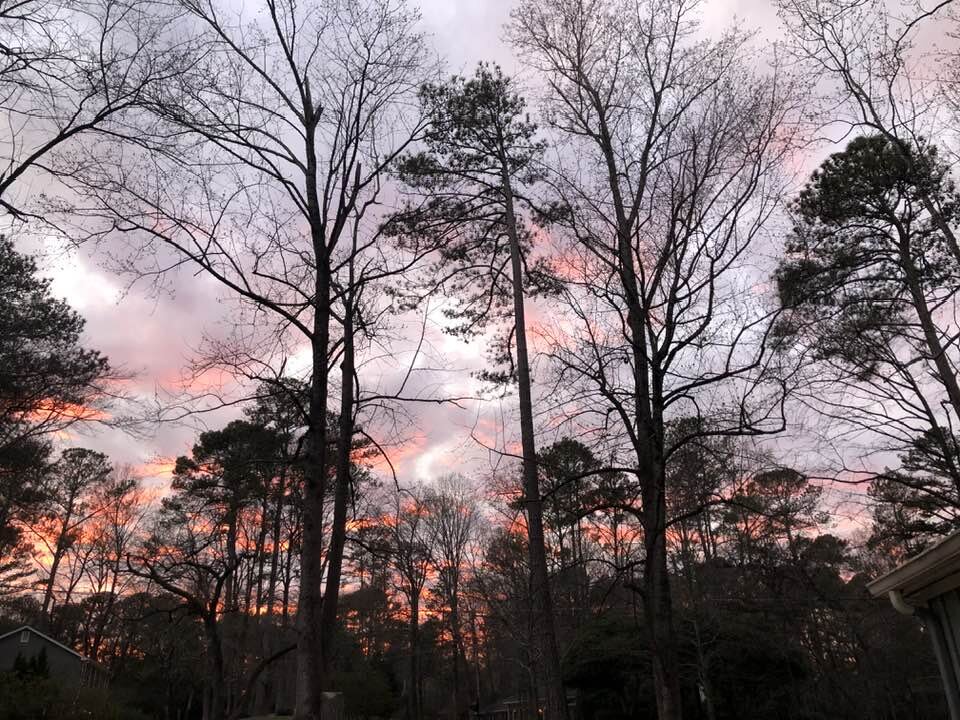 Last night's sunset. Pink-orange stripes, zigzagging through lavender-gray clouds. I've never seen the like.