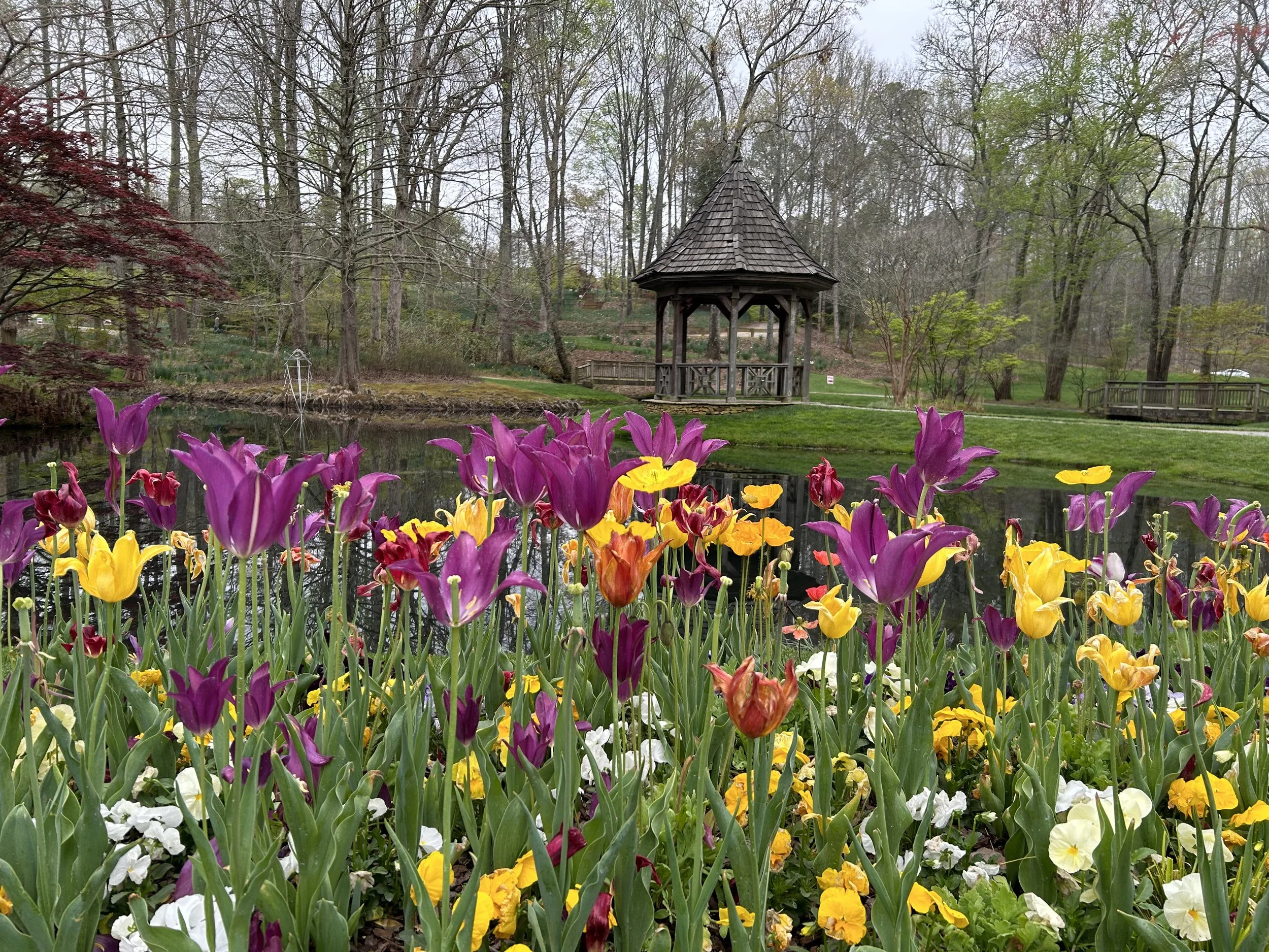 This Season at Gibbs Garden