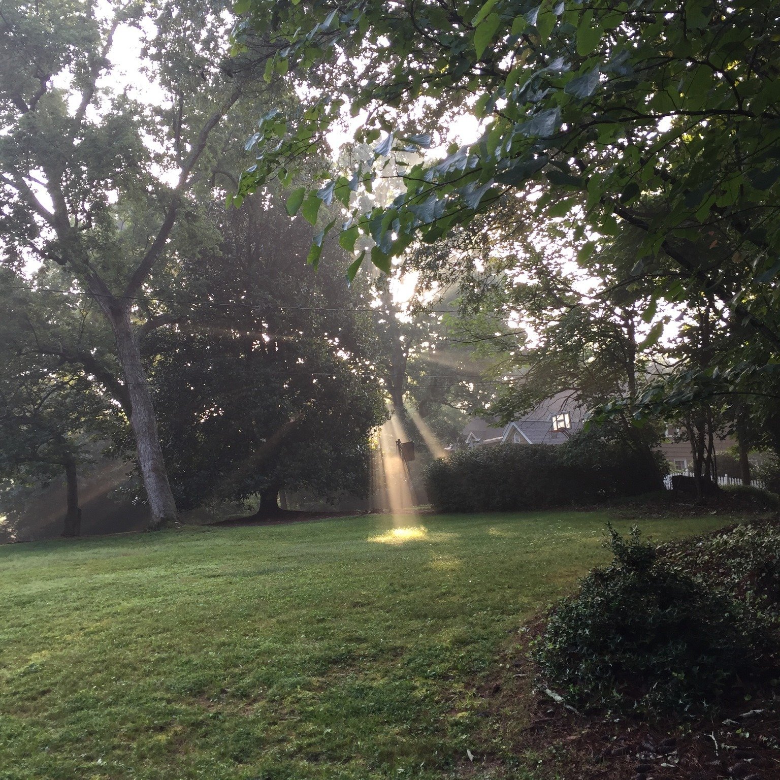 I thought of this moment today. Several Junes ago, on an early morning walk, I saw the sun's rays shimmering through the trees. As I moved closer, a sunbeam shone down on the grass like a spotlight. It made me stop and stare--and marvel, too, at the 