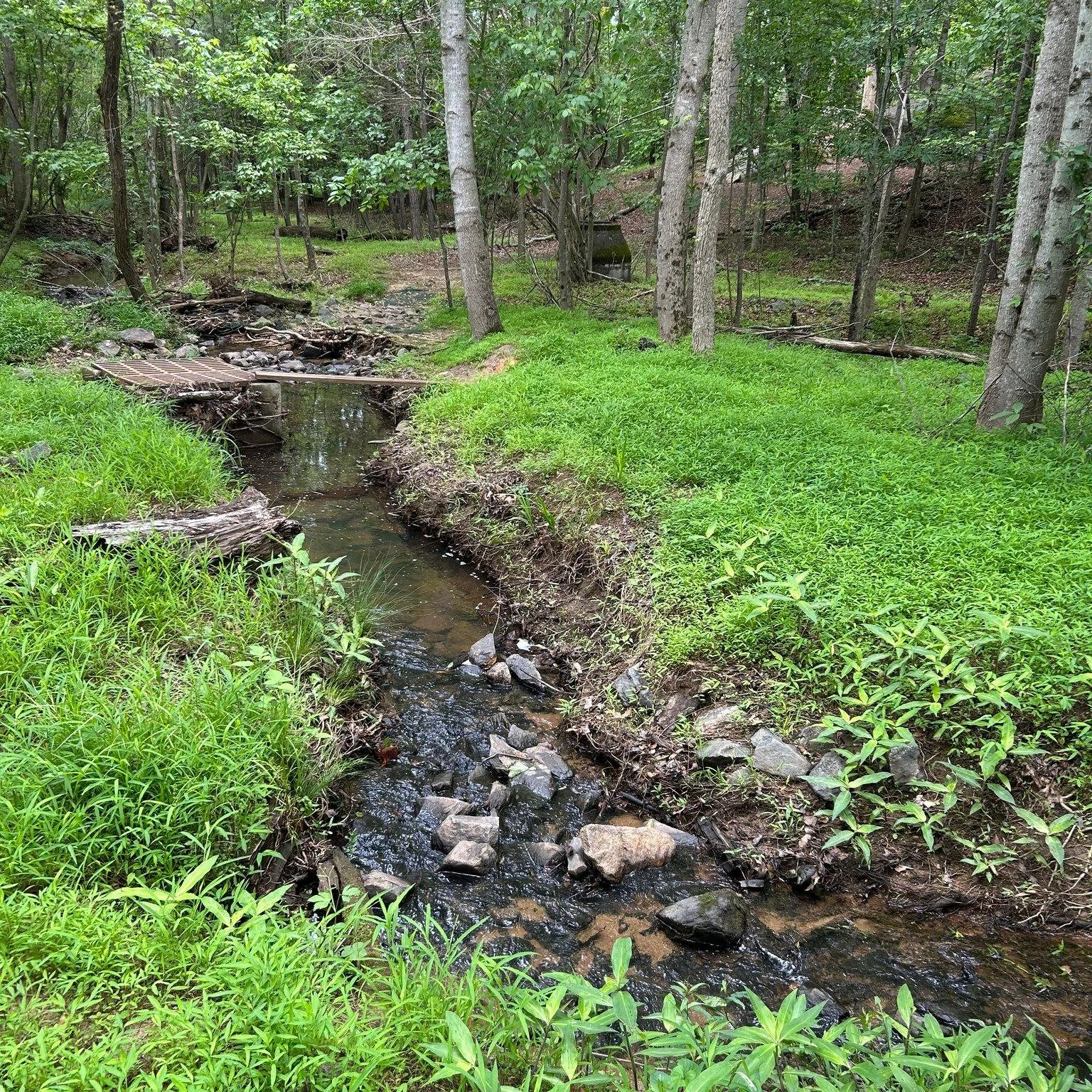Can't resist a stream through the woods. Can you get outside today and enjoy the beauty you see?
.
#walkinmyneighborhood #neighborhoodwalk  #everydaybeauty #beautyintheordinary #discoverbeauty #beautyintheeveryday #beautyinnature #beautyofcreation