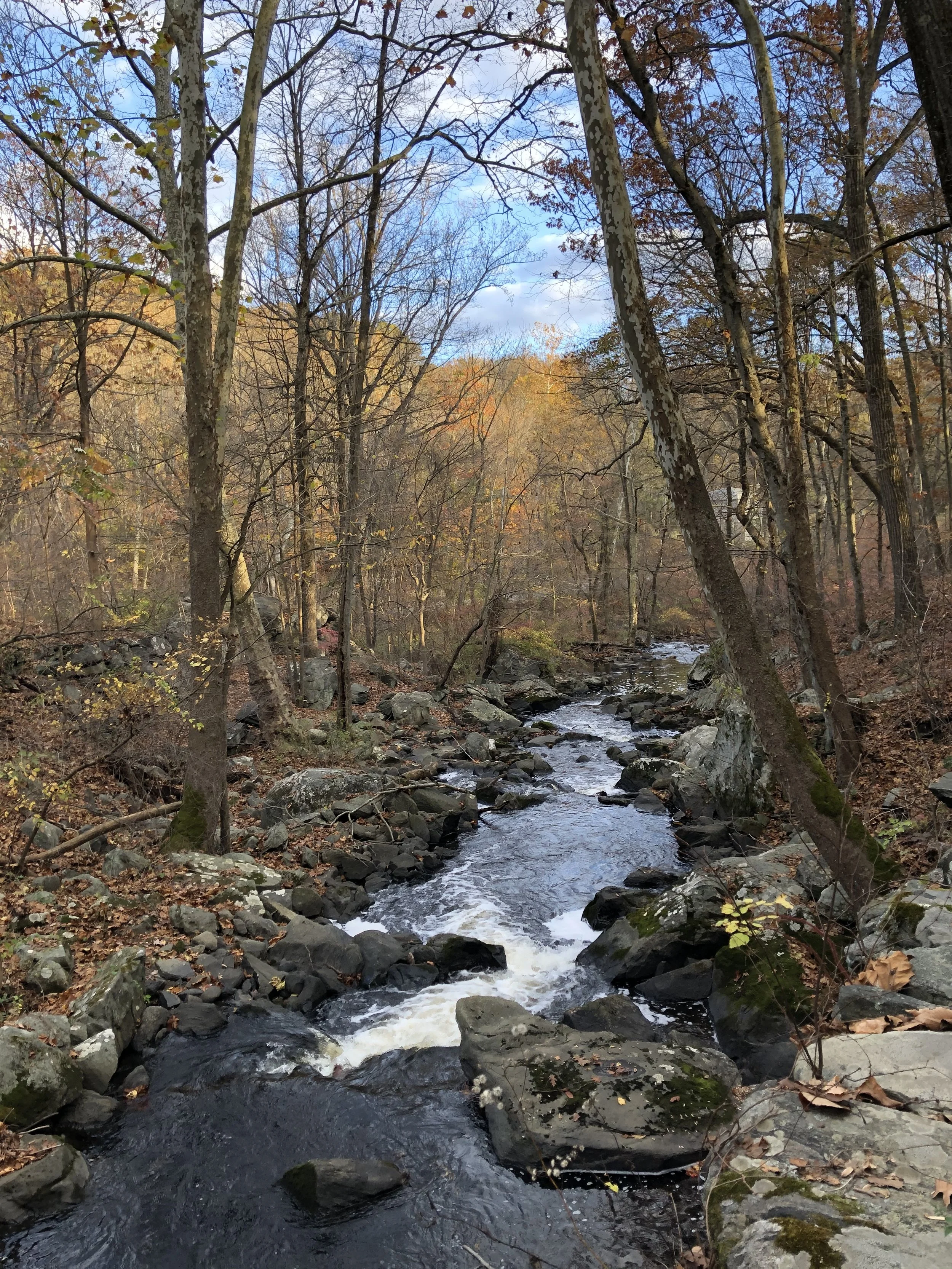 A New Look at Glimsen