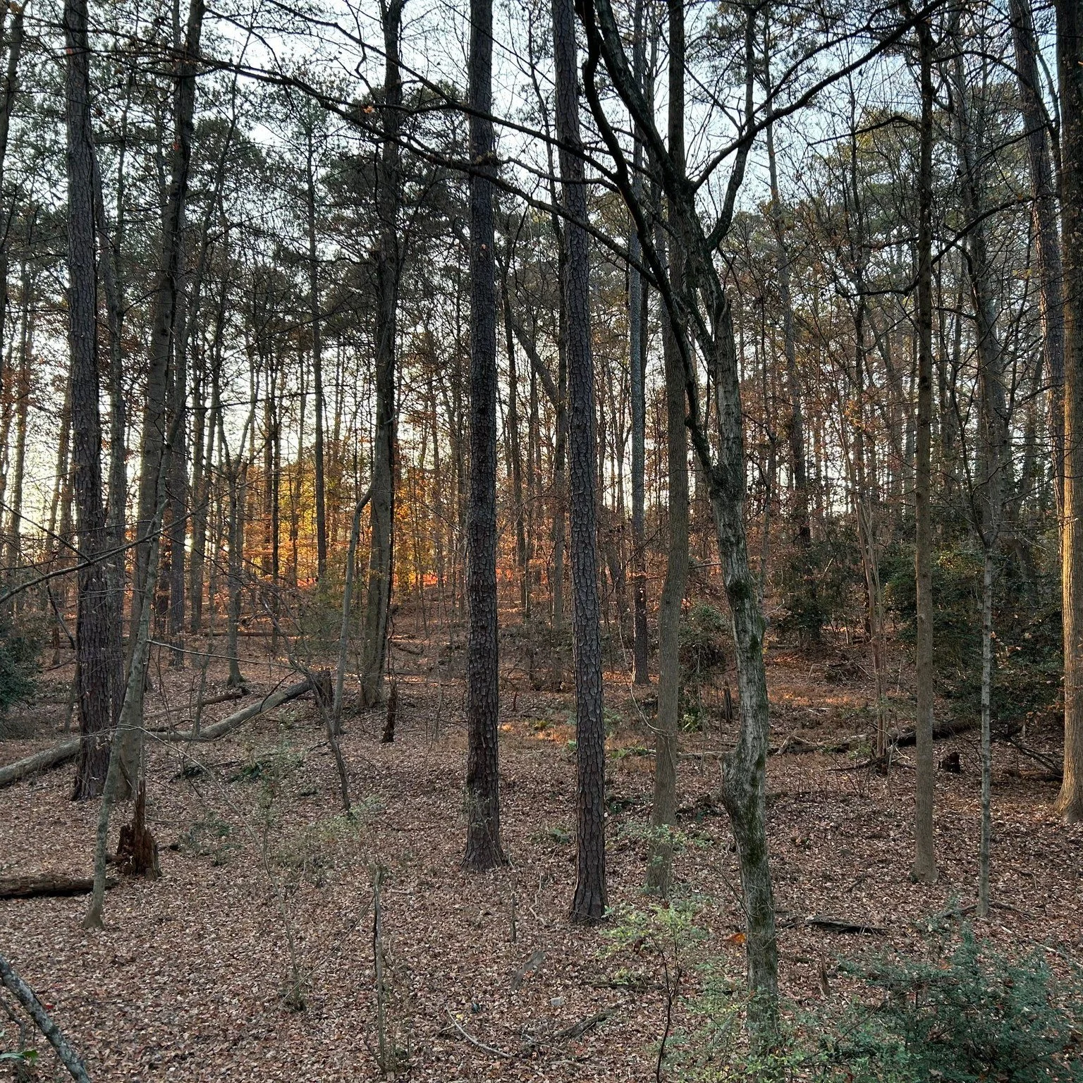 My husband calls this Orcland. I laugh, and then I shudder...

.

#beautyintheeveryday #beautyintheordinary #beautyofcreation #fallbeauty #natureisamazing #discoverbeauty #theheavensdeclare #godsbeauty #beautyinnature #beautyincreation #everydaybeaut
