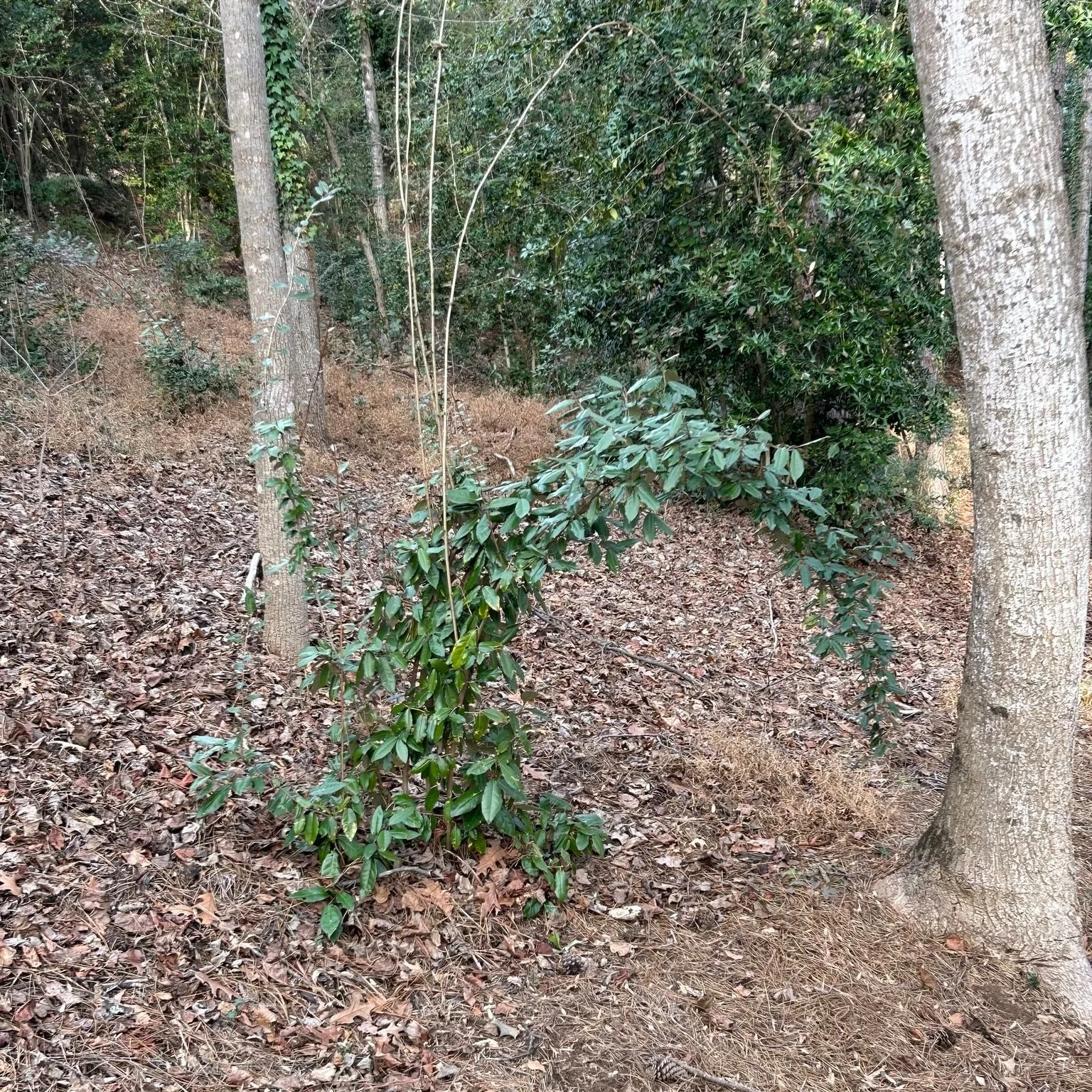 Whoville does this remind you of?

#grinch