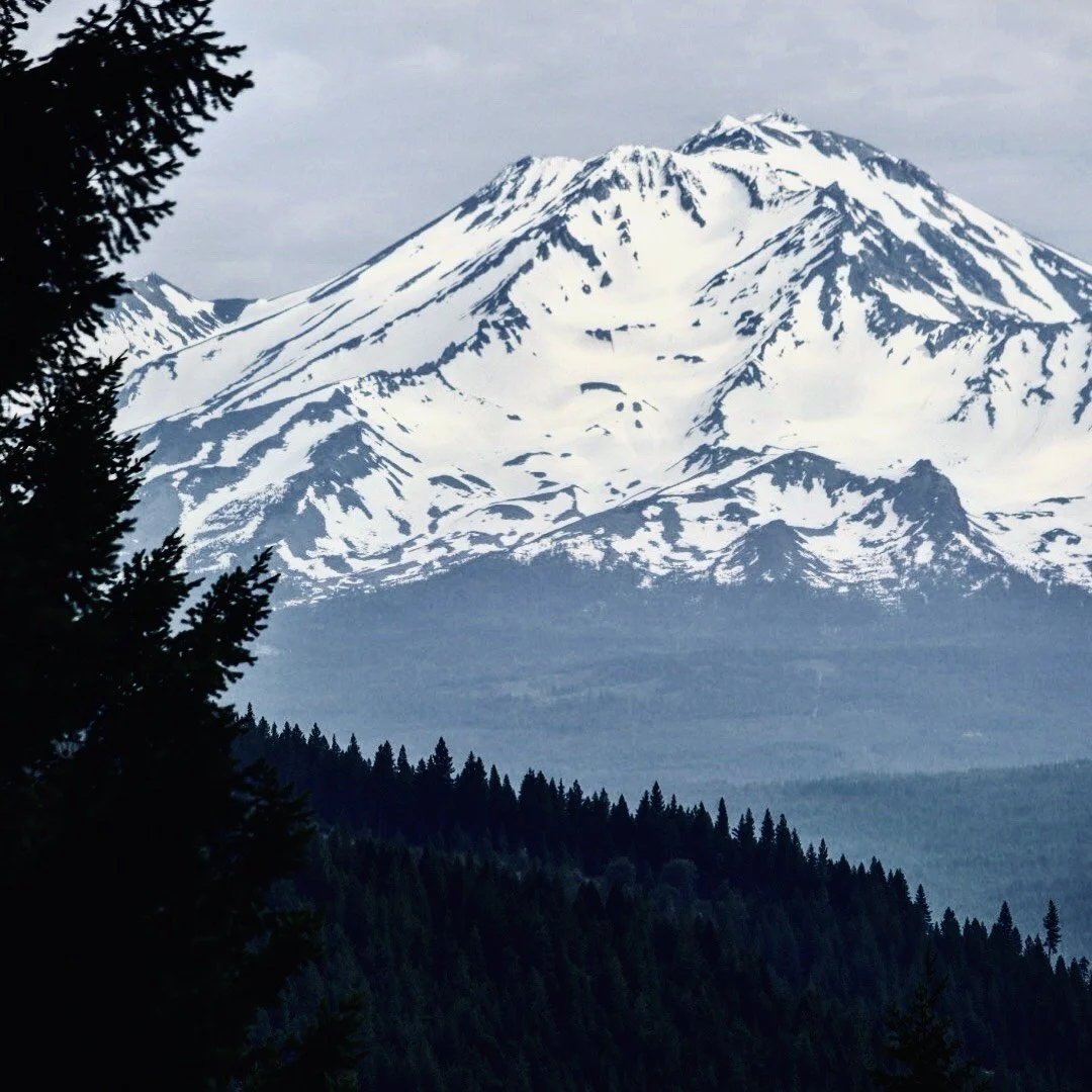 Your Photos of Winter Beauty