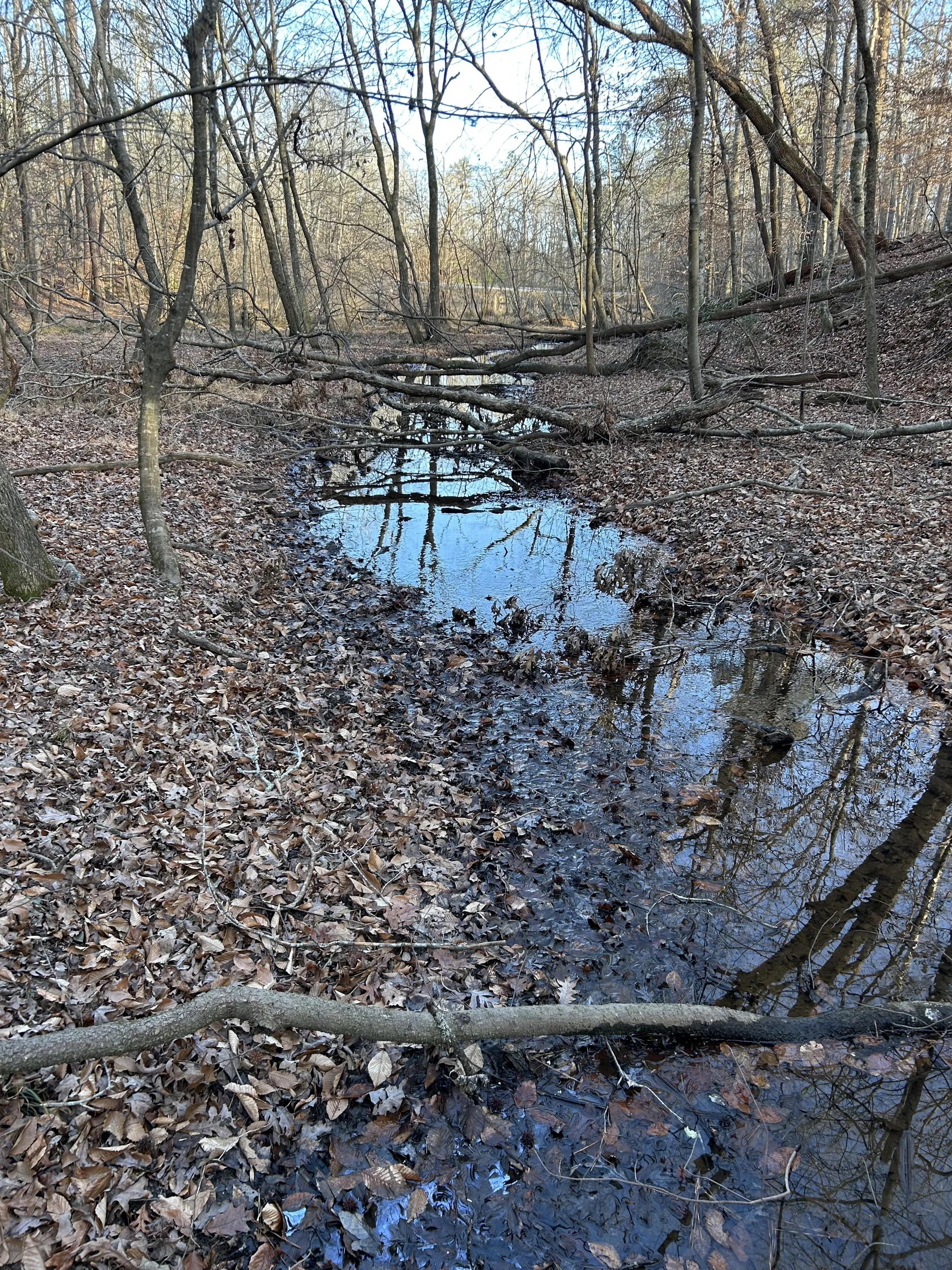 What Do You Want to Build in 2026?