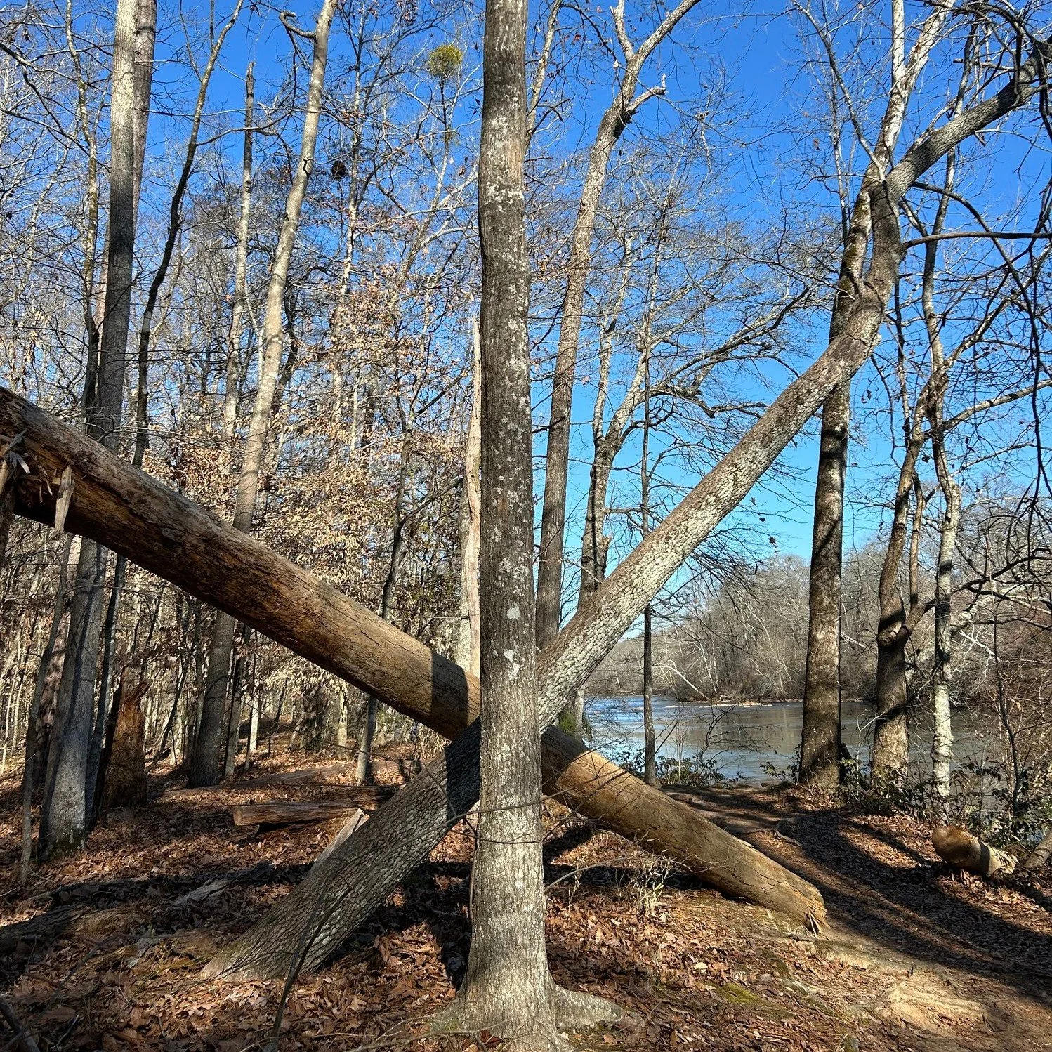 X marks the spot by the riverside. Check out this week's thoughts on the blog about  building projects this year.