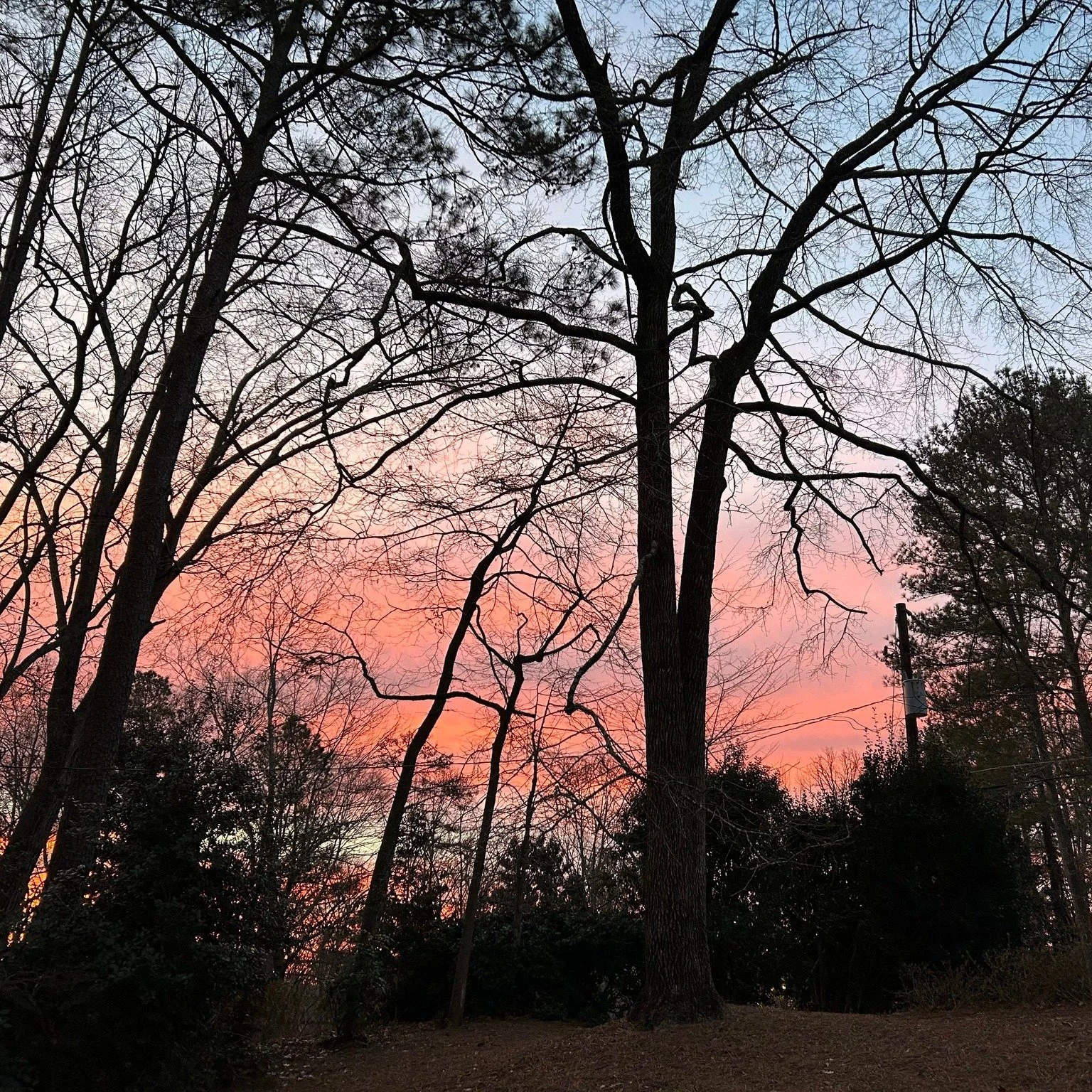 Have you noticed that winter sunrises and sunsets can be stunning? See the beauty and find out why in  last week's blog post, The Winter Sky.