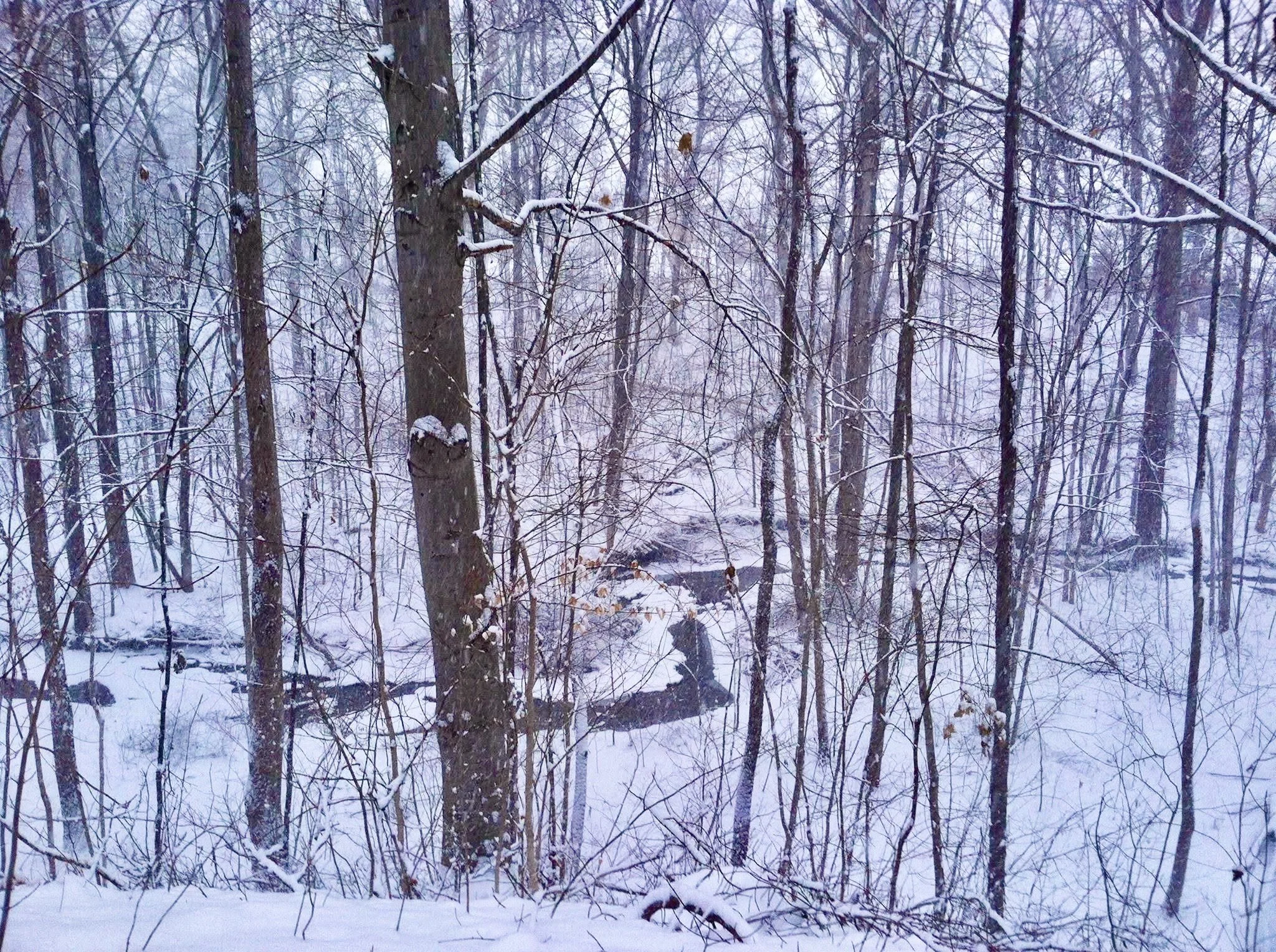 Part 3: Your Photos of Winter Beauty