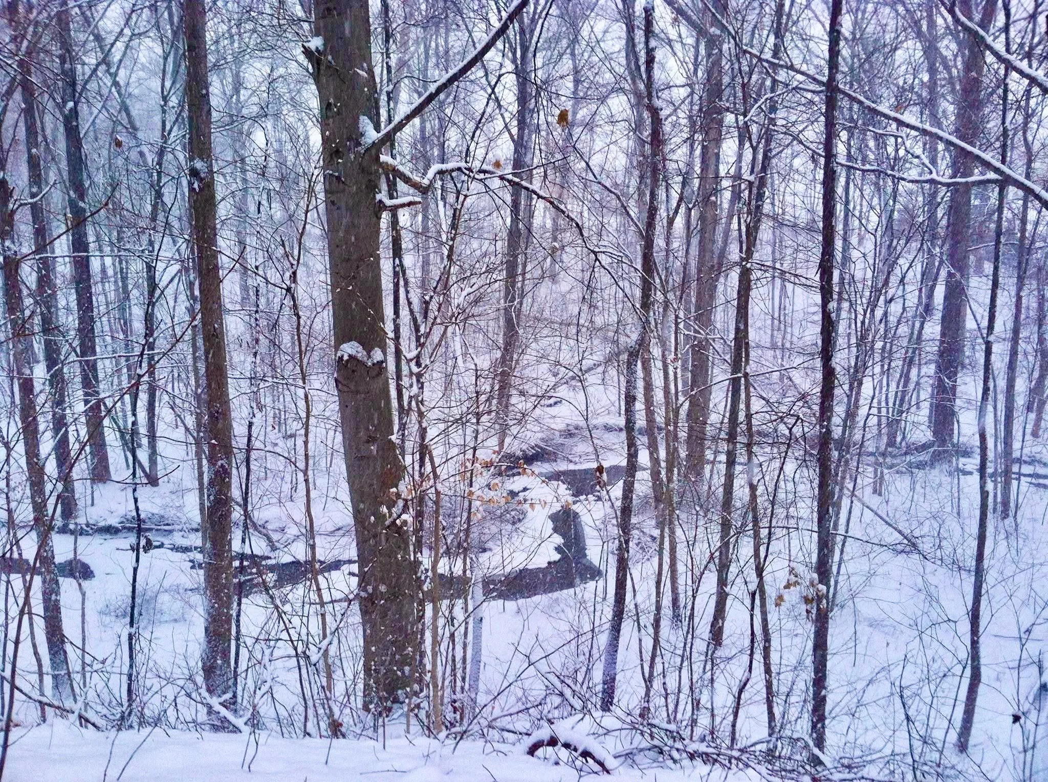 Over on the blog this week, Part 3 of your winter beauty photos. Which one is your favorite?