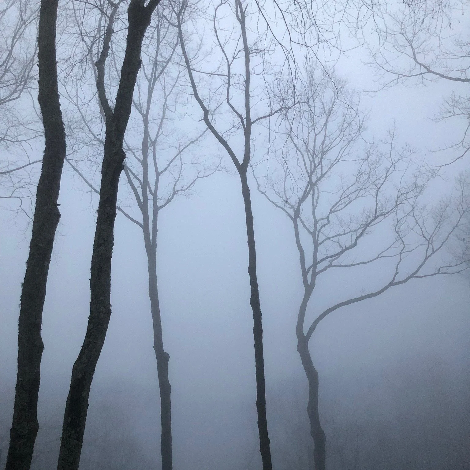 A fitting photo for Ash Wednesday and the beginning of Lent, the season of lament and repentance for sins, leading up to Good Friday.