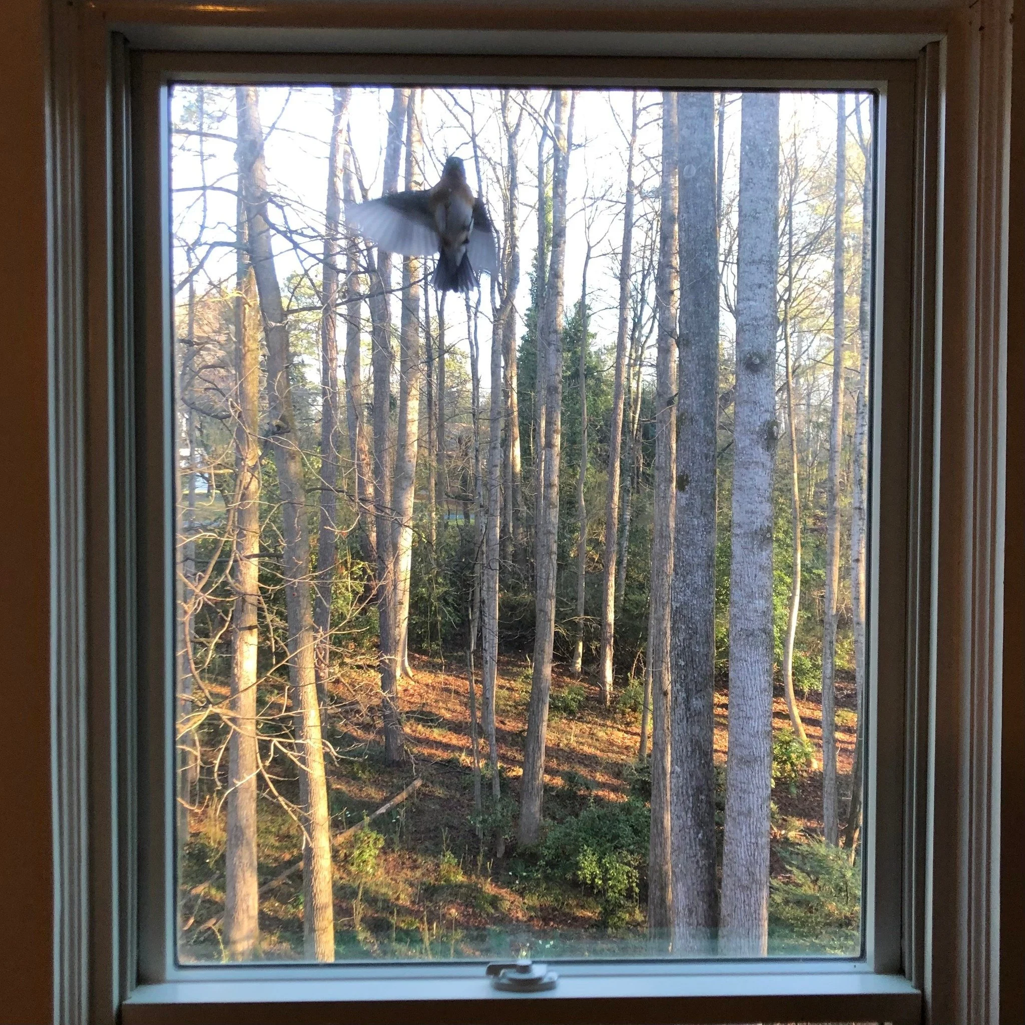 Feeling fluttery because of this unexpected beauty.